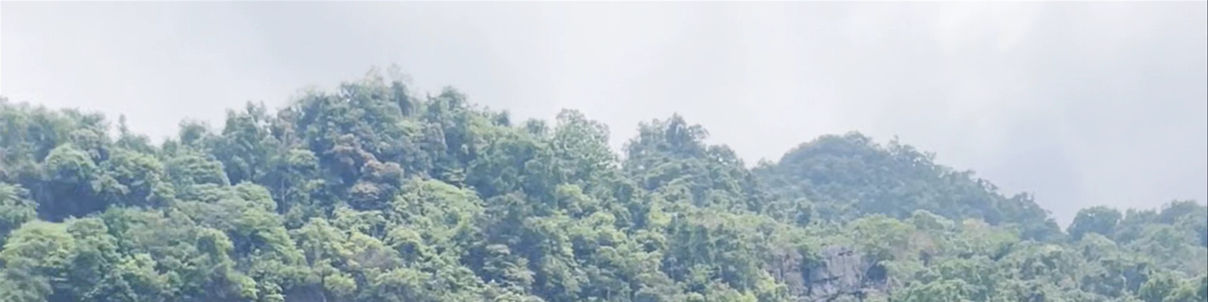 Trạm Dừng Nghỉ Phong Nha