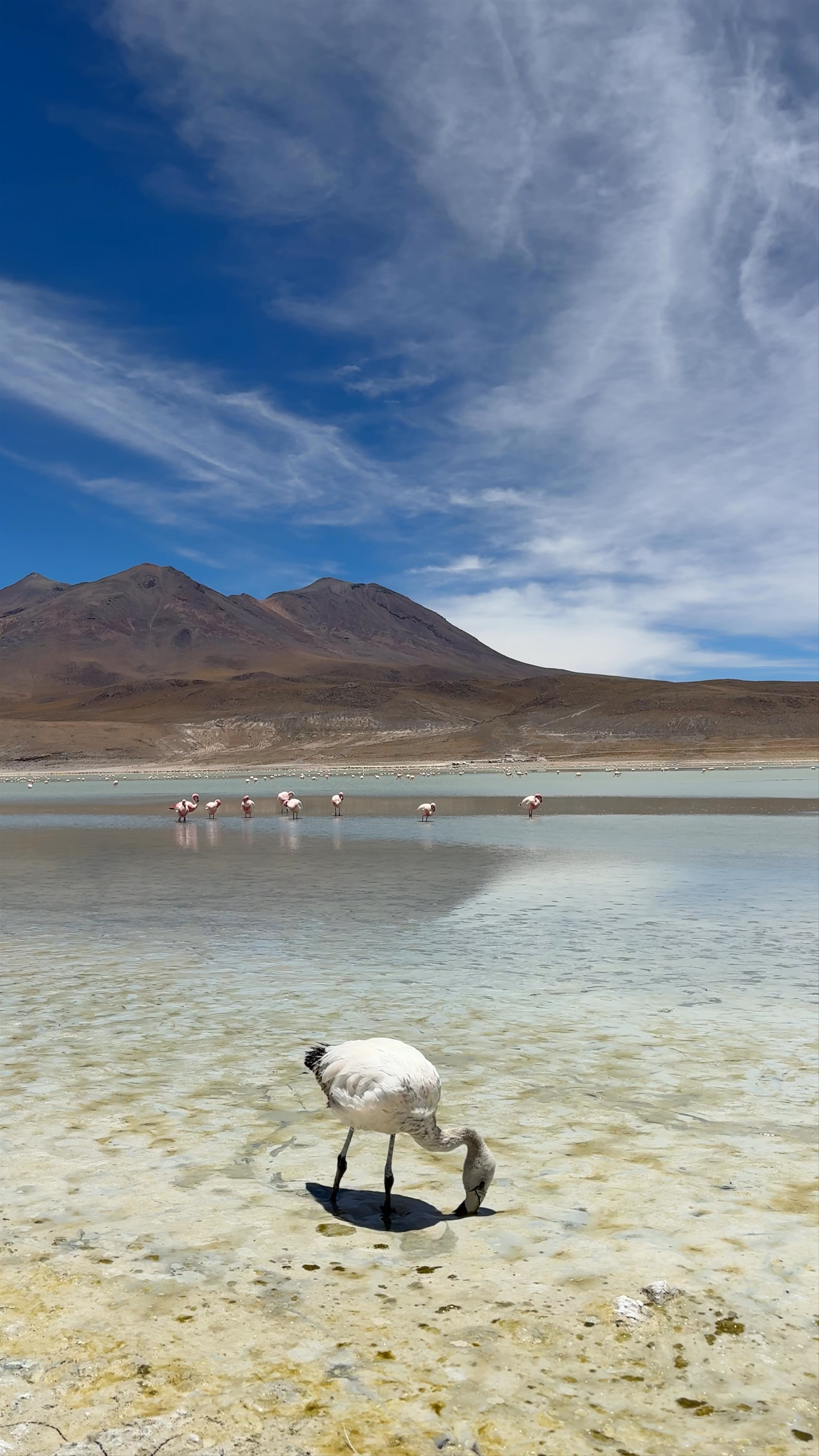 Mirador de la Laguna Hedionda
