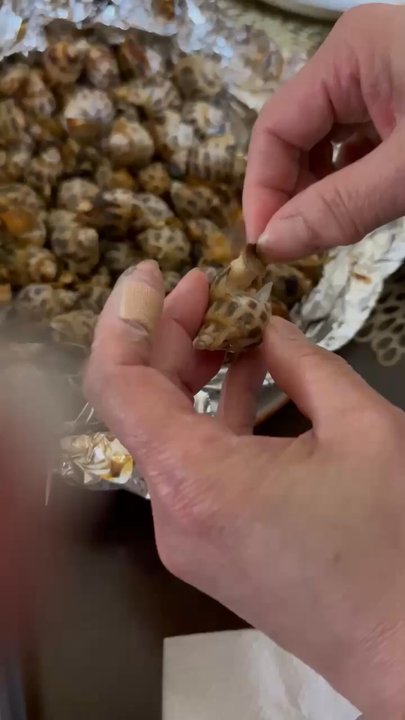 All Fresh Market - Look at it   It's not crunchy chewy but it's like soft powdery like the inside of a cooked oyster   Not supposed to happen - Seafood Markets Near Me - San Francisco, California
