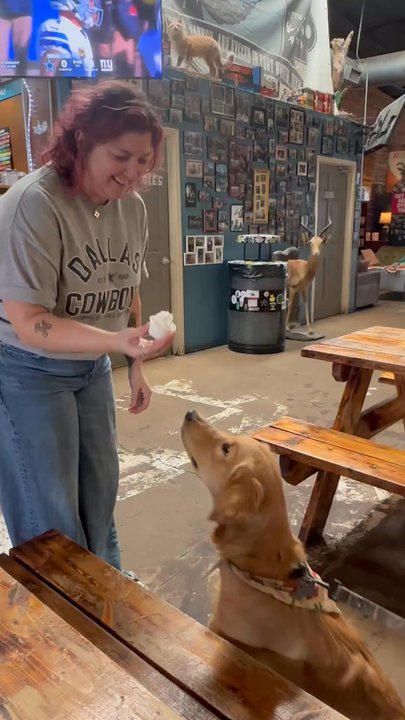 Martin House Brewing - Dog Friendly! - Breweries Near Me - Fort Worth, Texas