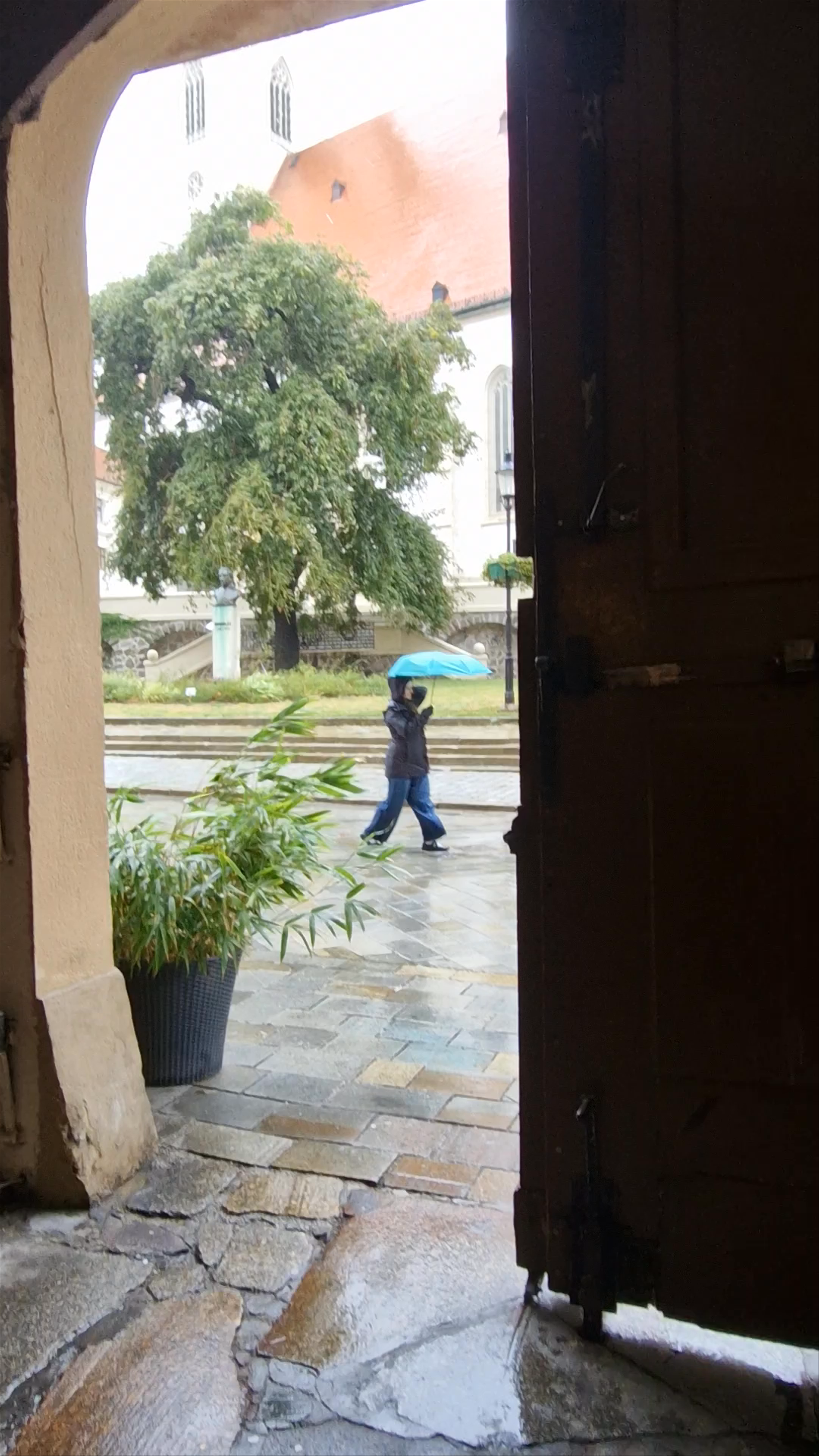 St. Martin's Cathedral