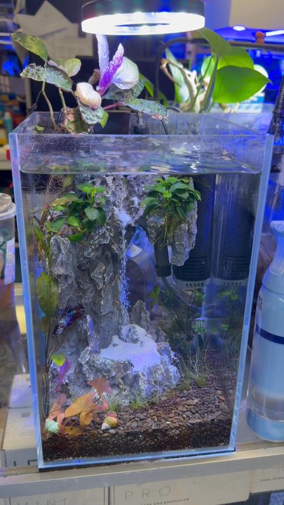 Pet World - Sand fall tank Aqua Worx - Pet Stores Near Me - San Bernardino, California