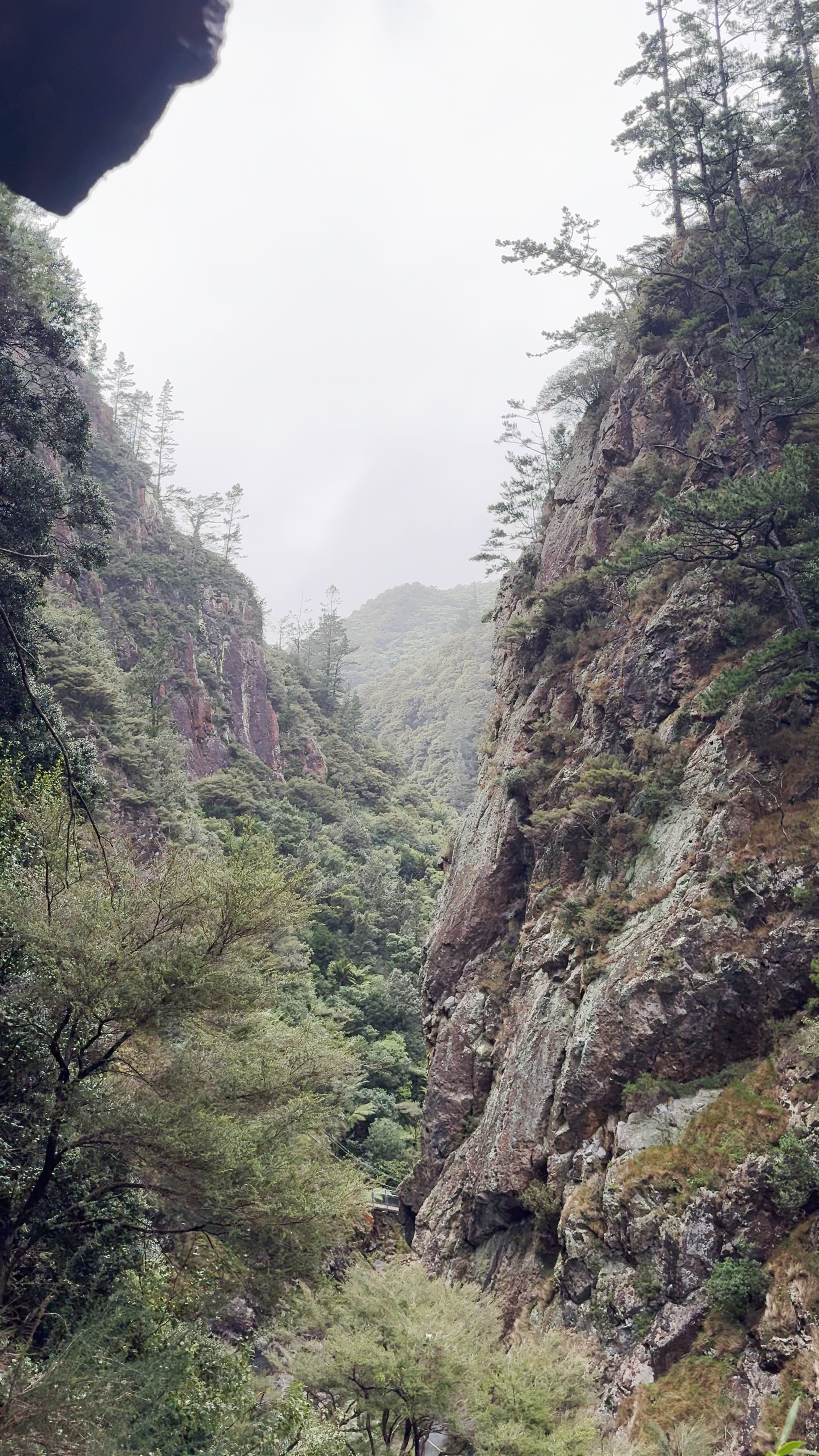 Karangahake gorge State Highway 2