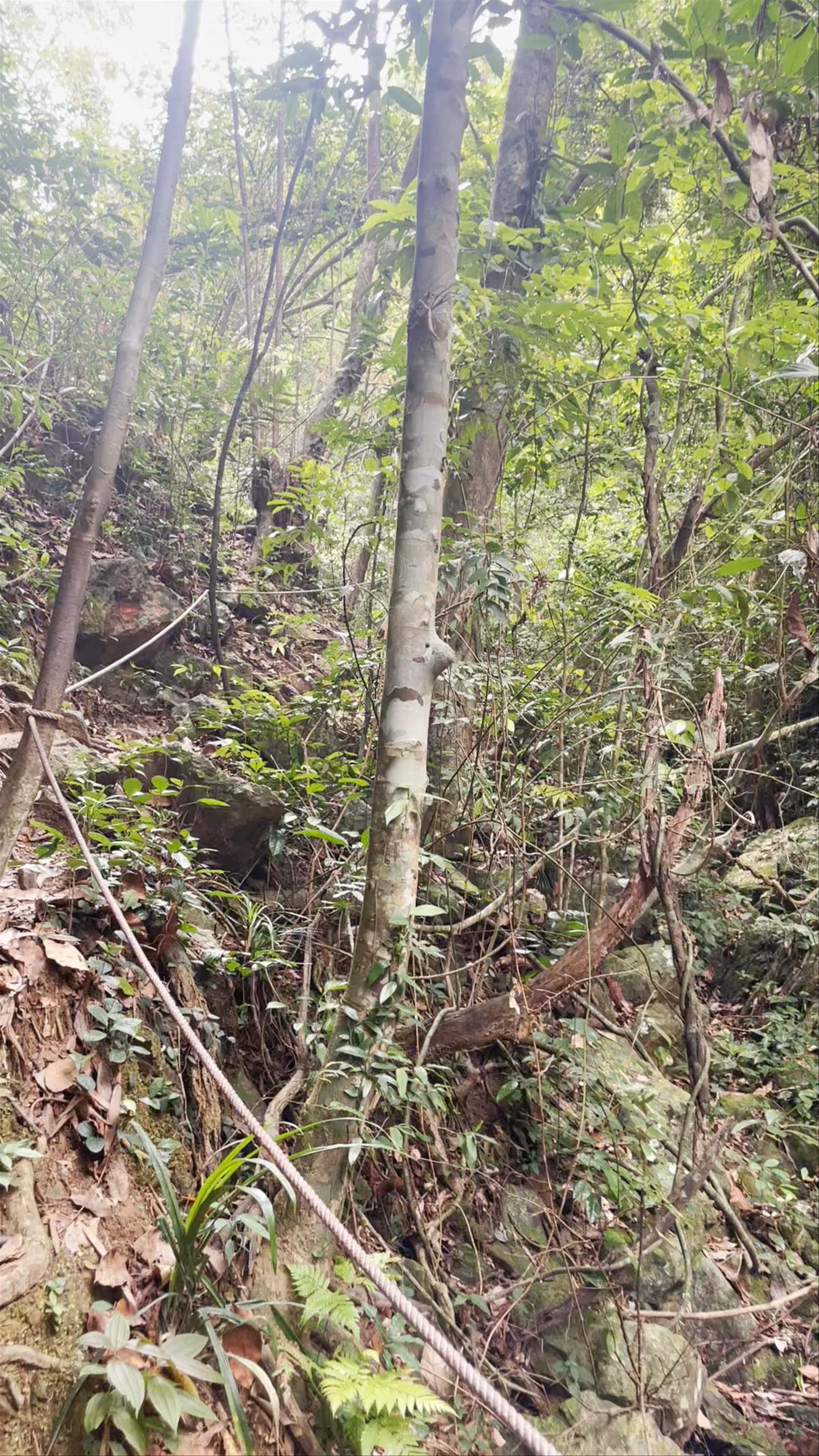 Quảng Bình