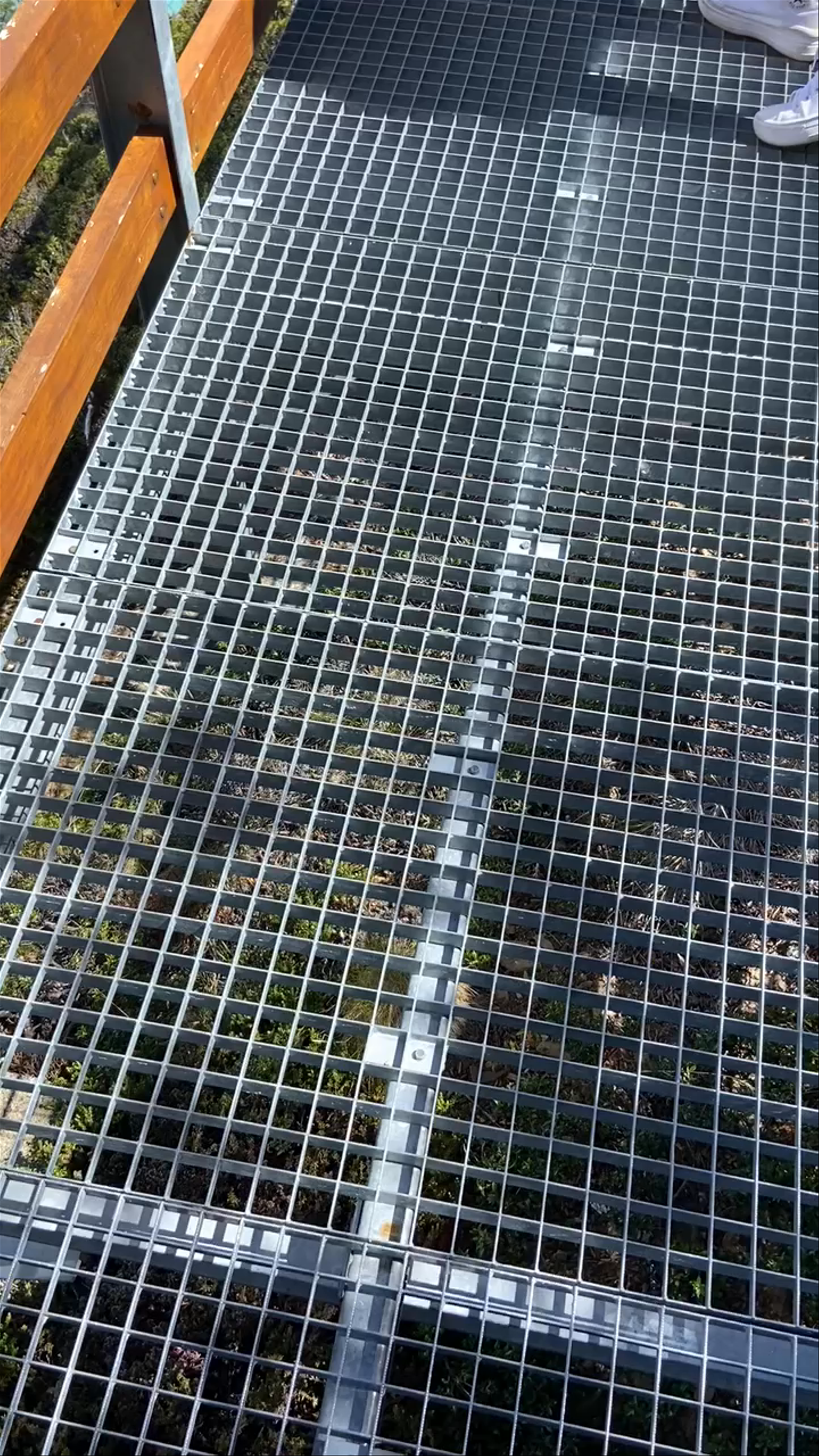 Perito Moreno Glacier