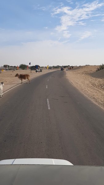 Photo of Jeep safari 