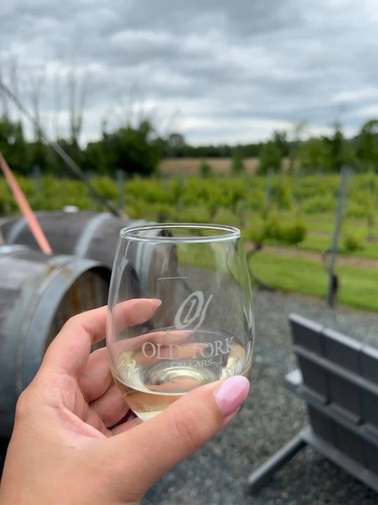 Old York Cellars - Wine Tasting Room Near Me - Ringoes, New Jersey