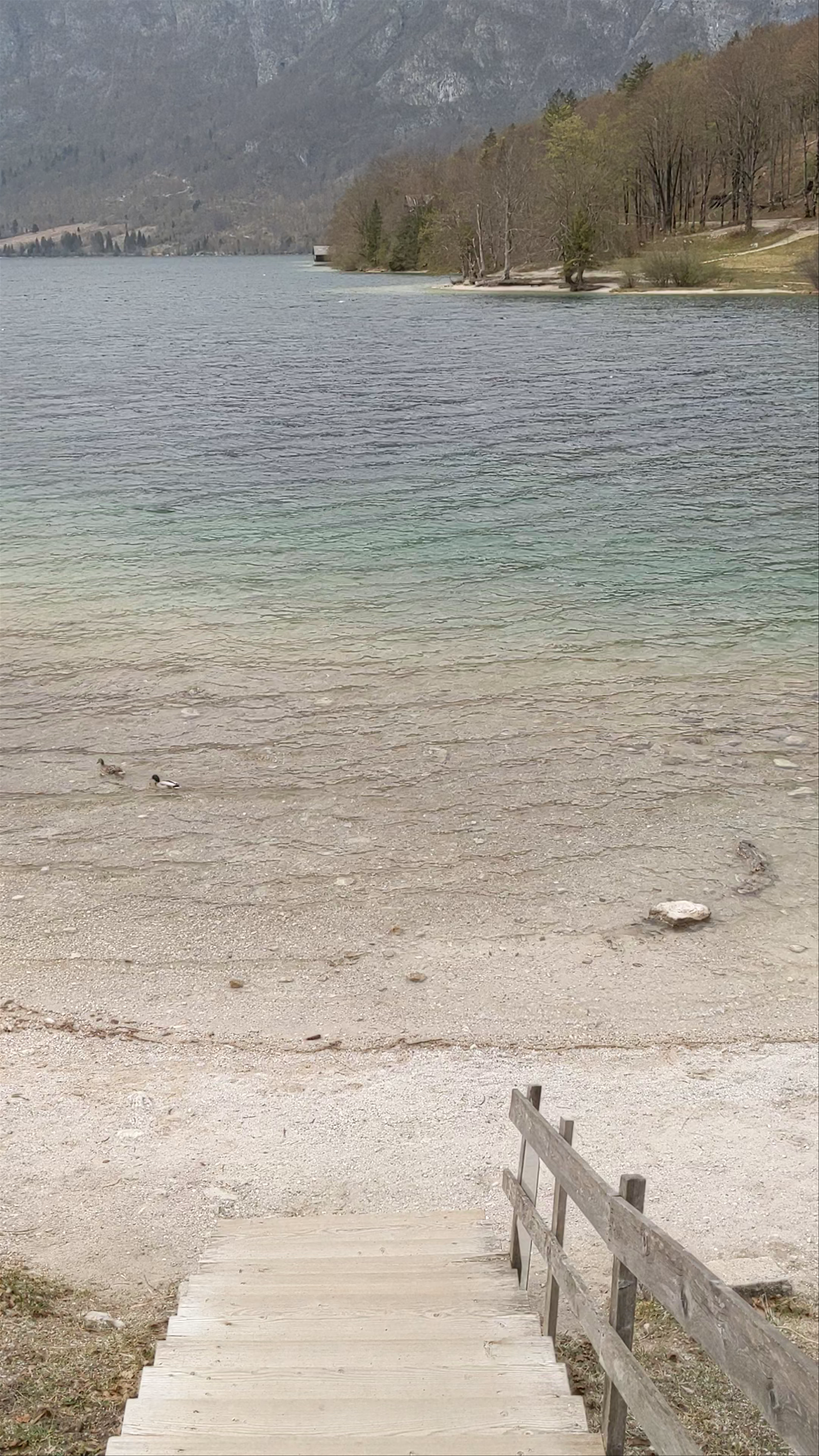 Bohinjsko jezero