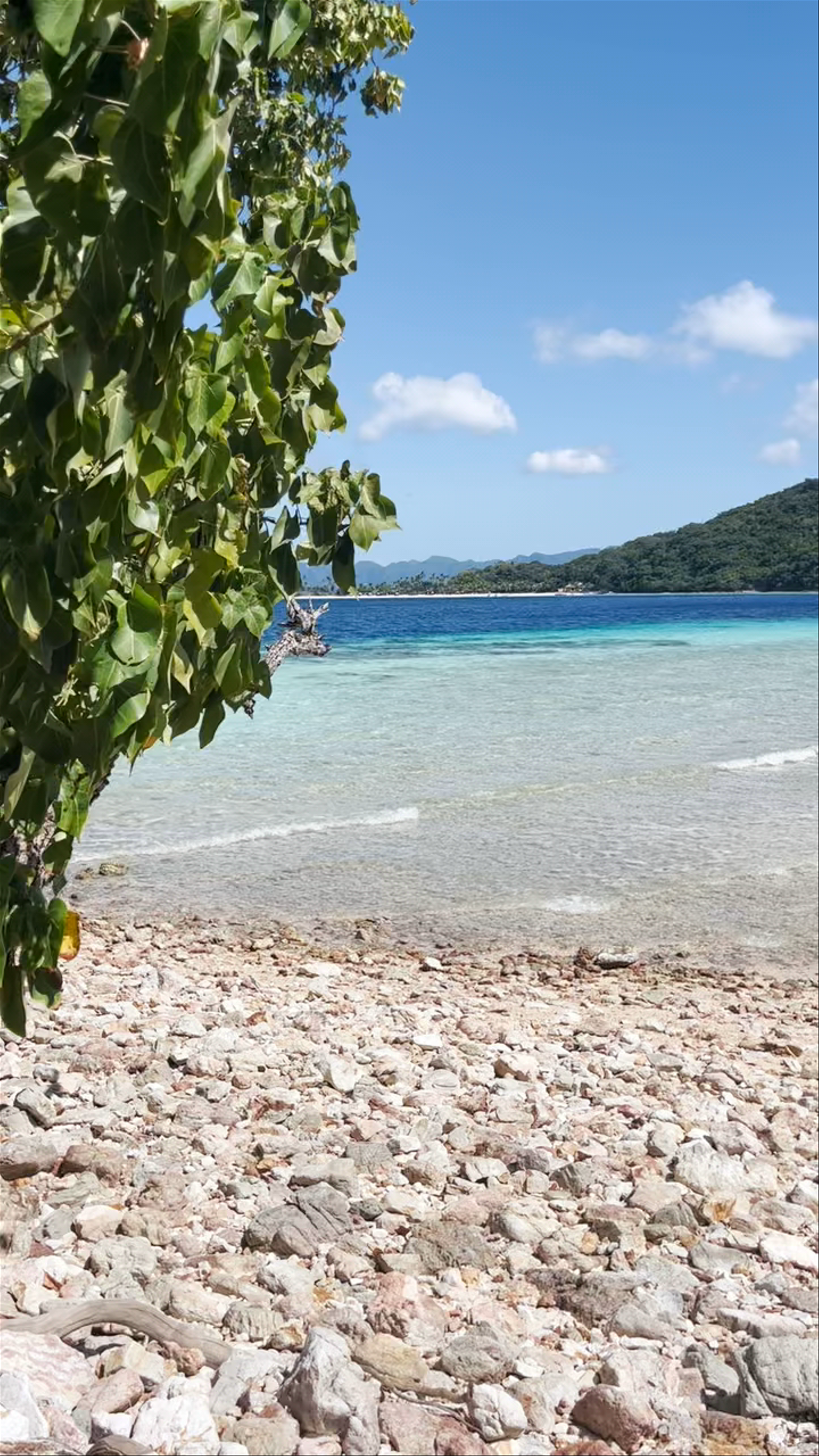 Banana Island