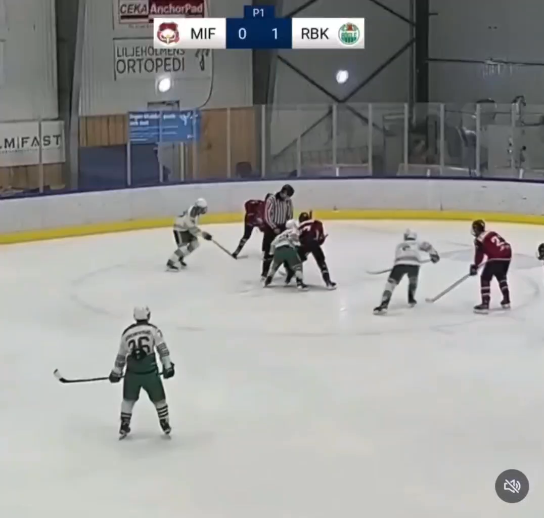 Elias Malashkoff: Pressure Goals Showcase with Rögle BK U18