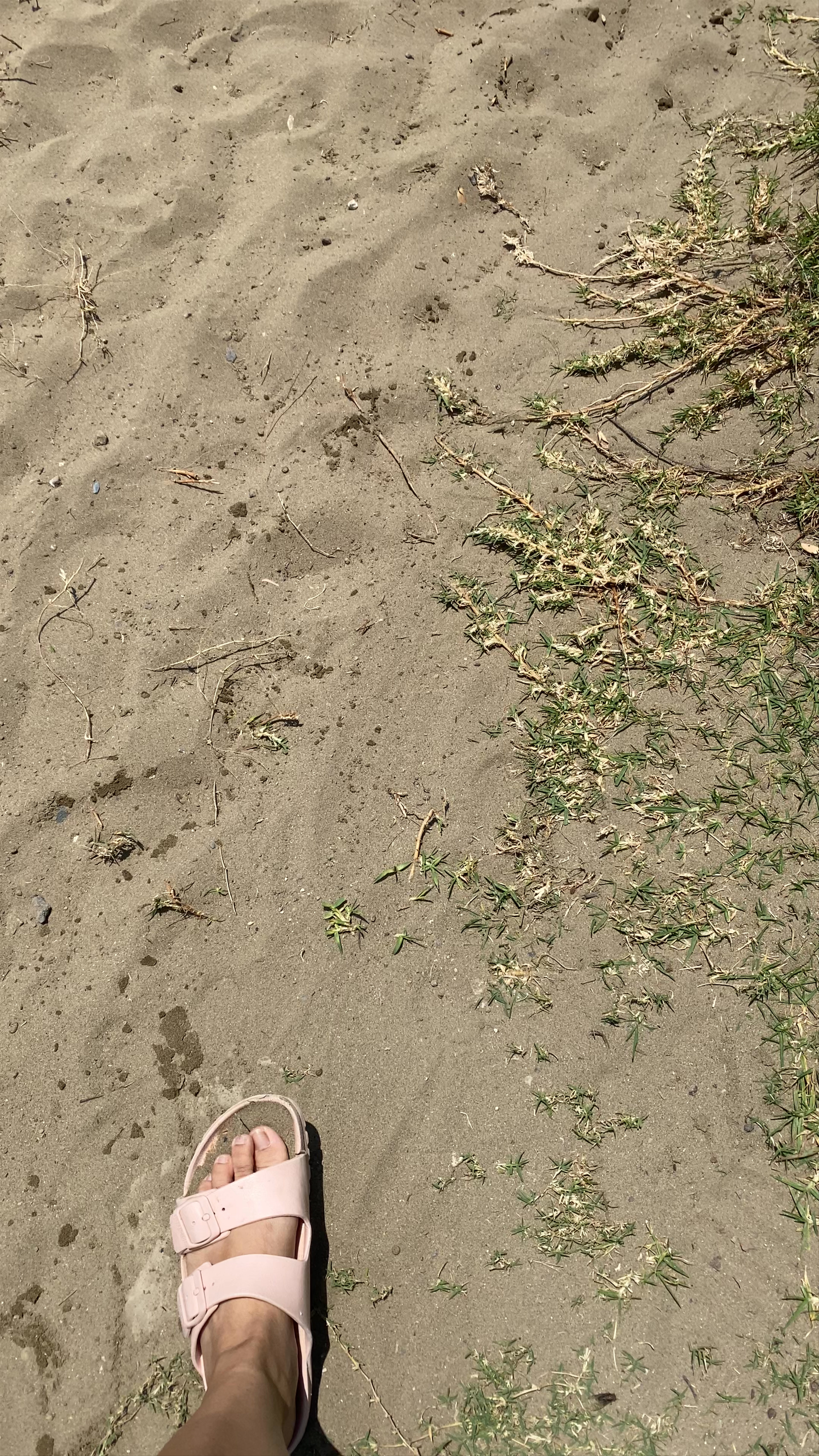 Long Bay Regional Park Beach Road