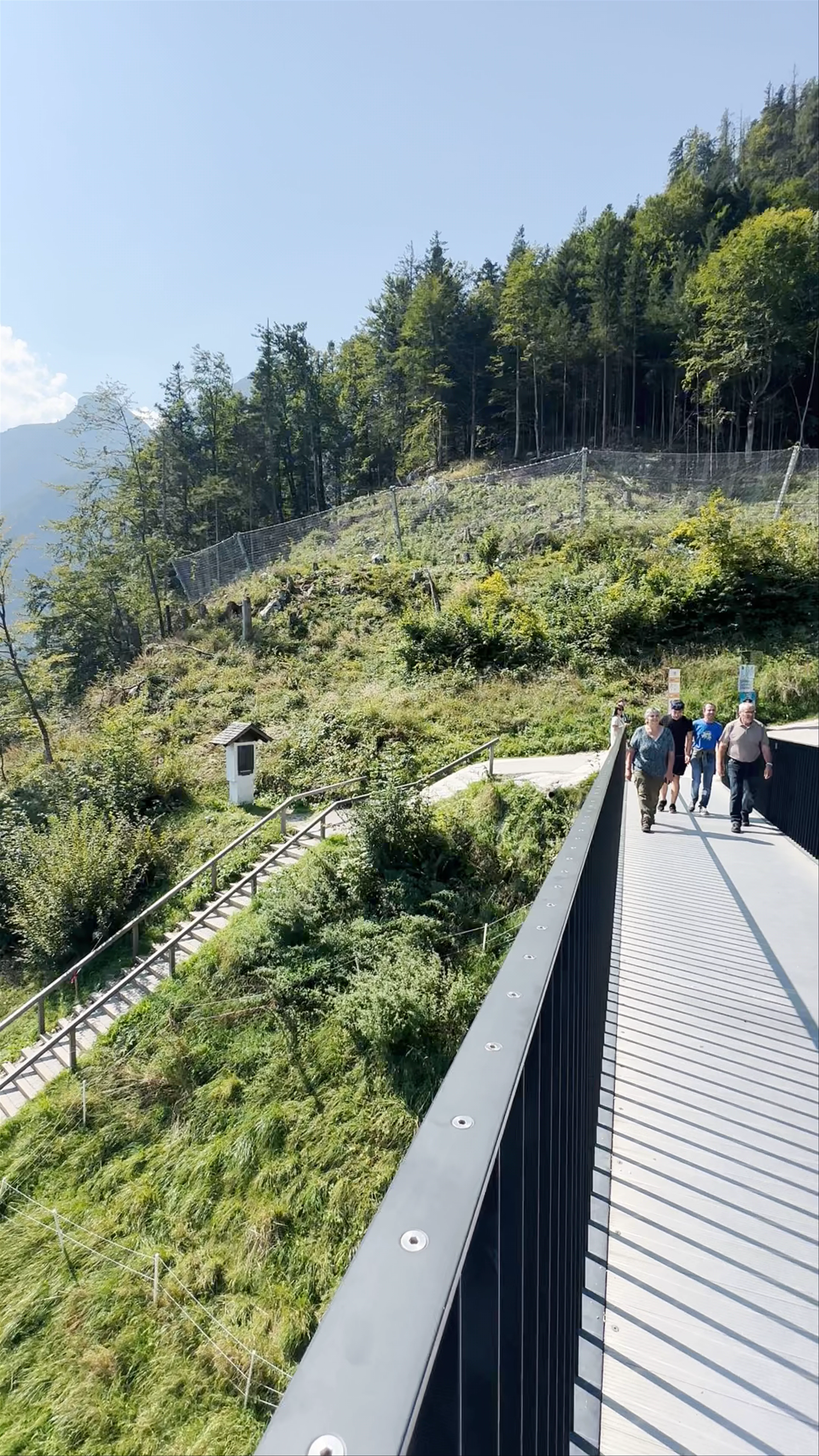 Hannes Androsch Brücke, Salzberg