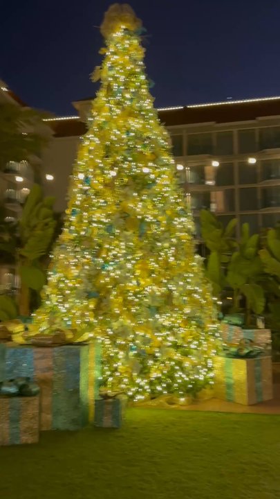 Hotel del Coronado, Curio Collection by Hilton - Front lawn of the southpointe event center - Coronado, CA