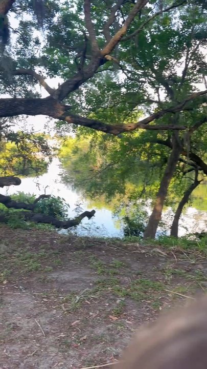 Rowlett Park - Mostly a trail walk - Parks Near Me - Tampa, Florida