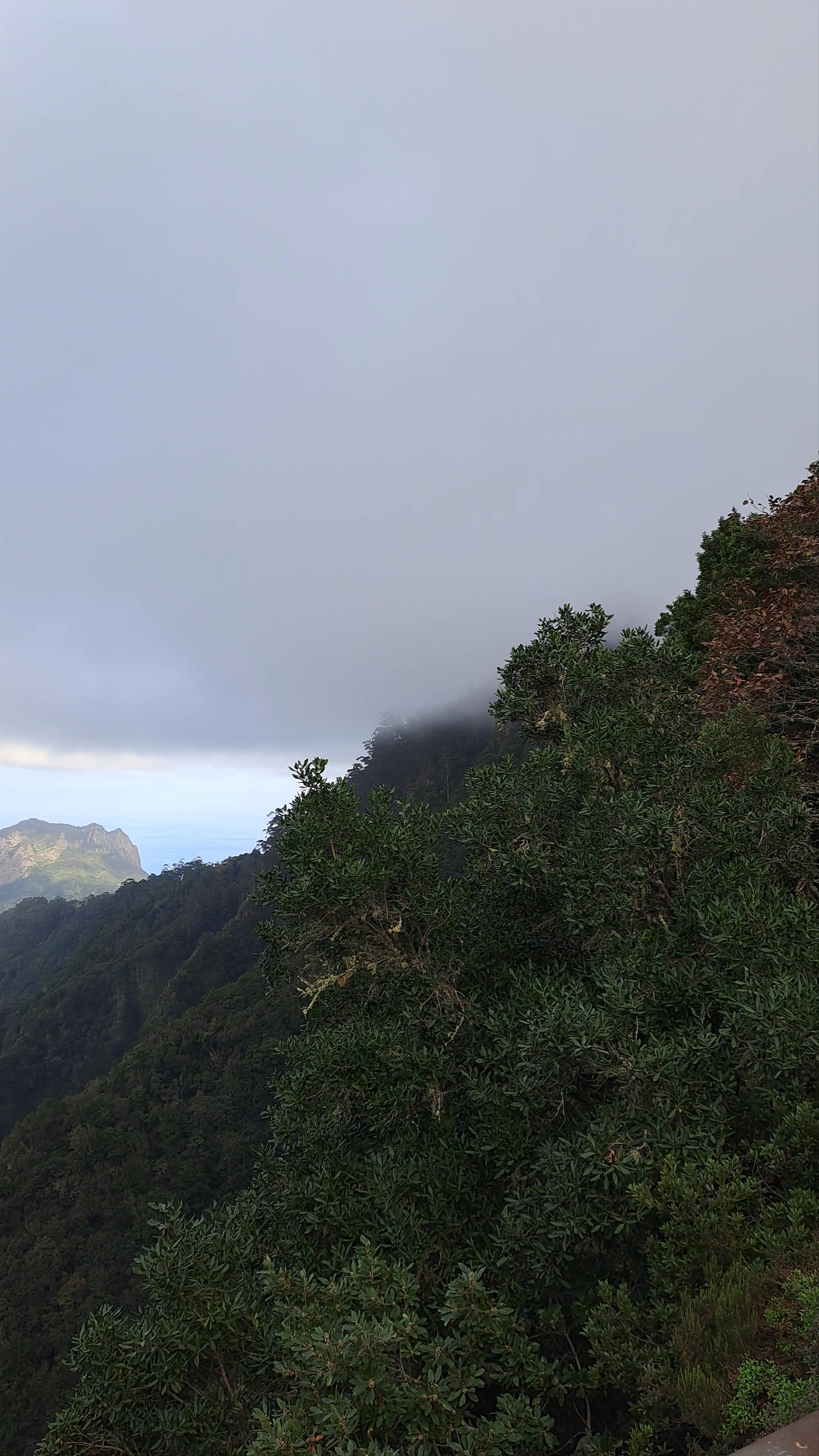 Miradouro dos Balcões: Mystical Mountain Vistas in Ribeiro Frio, Madeira