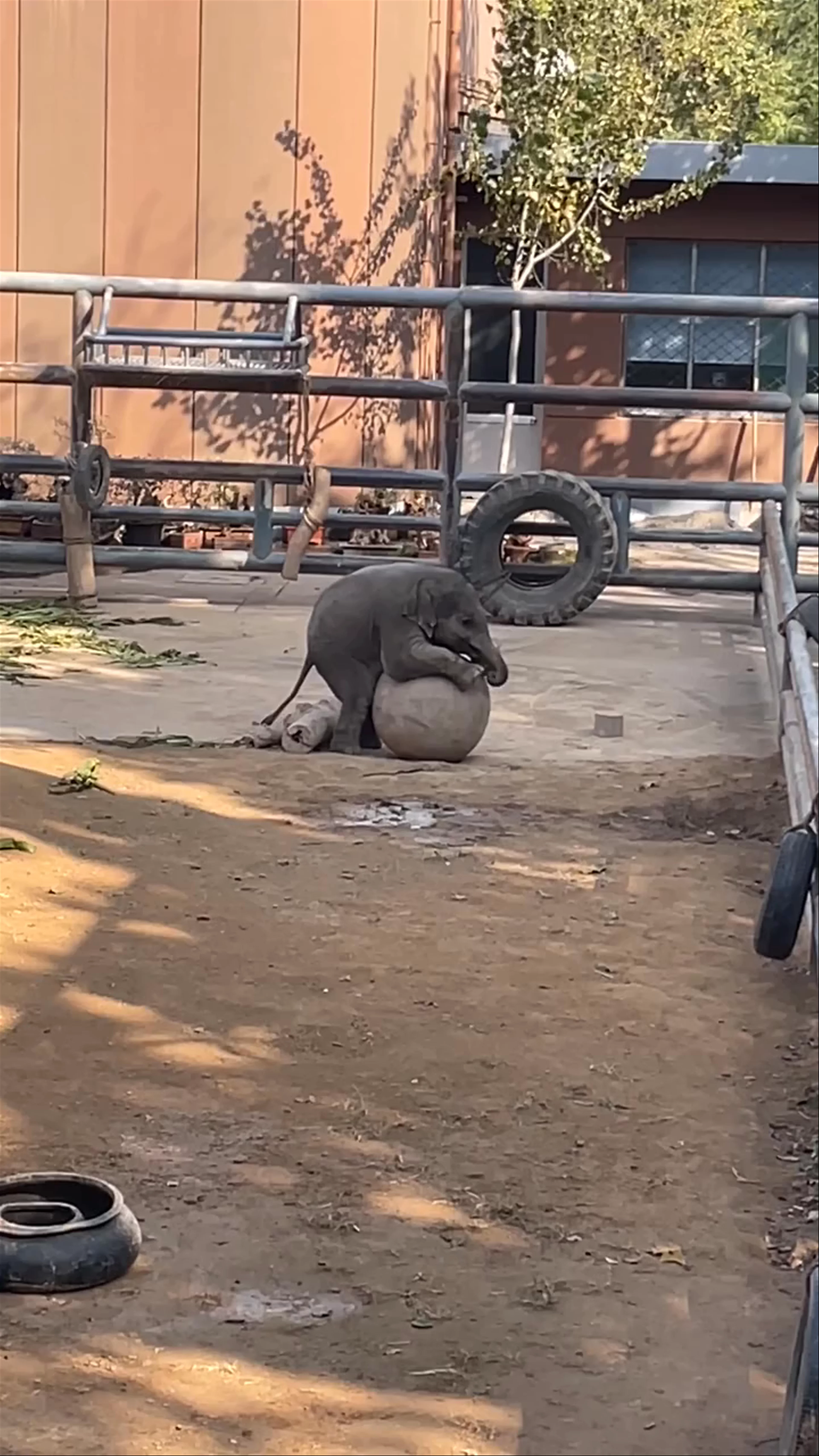 Jinan Wildlife World (Main Entrance)