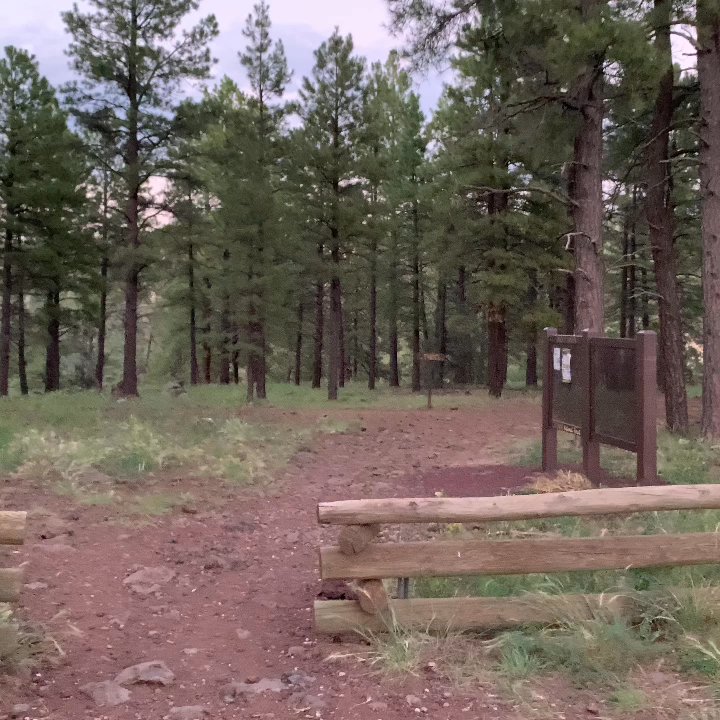 Sandys Canyon Trail - Hiking Near Me - Flagstaff, Arizona
