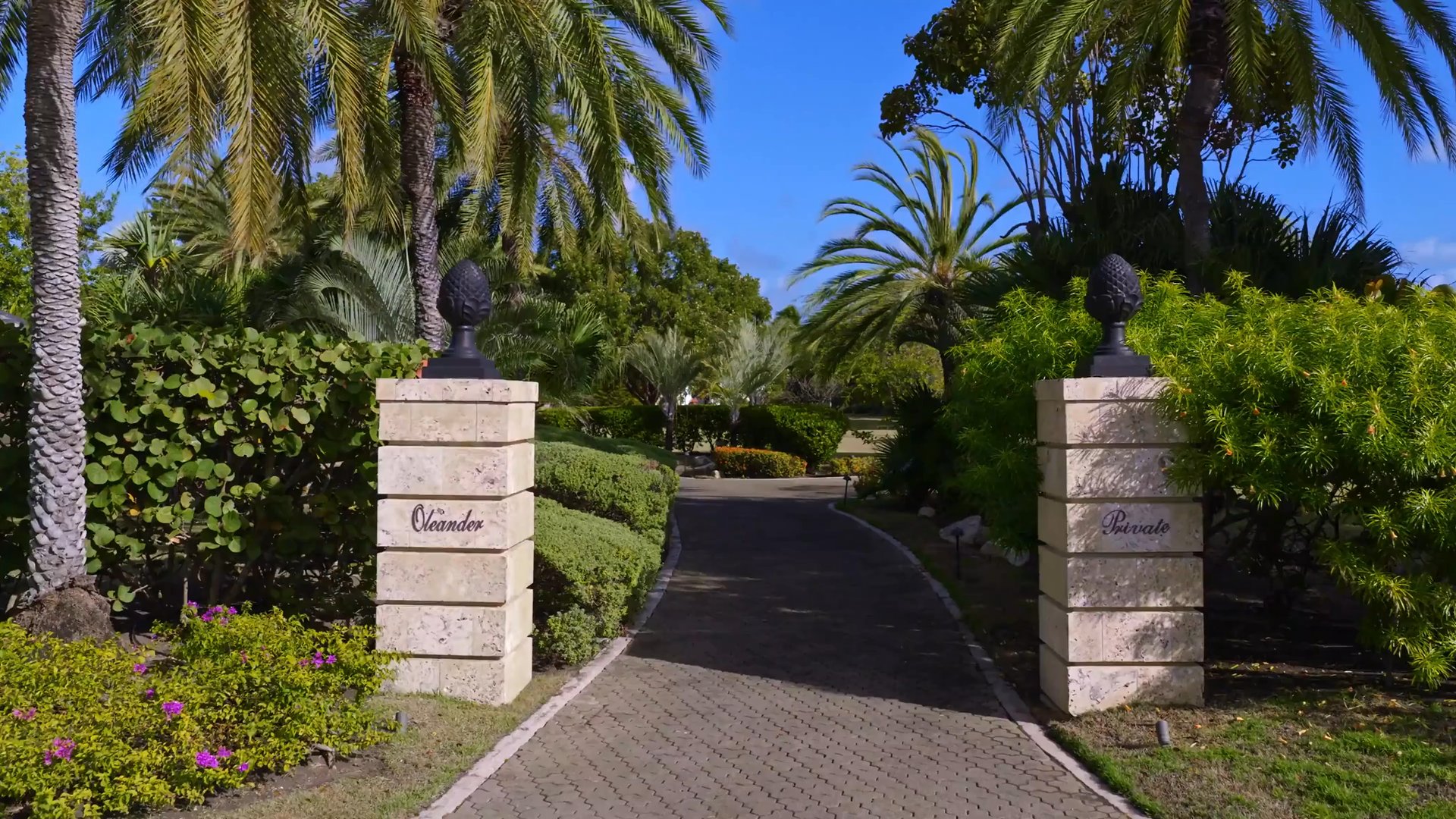 Jumby Bay Island | Oleander