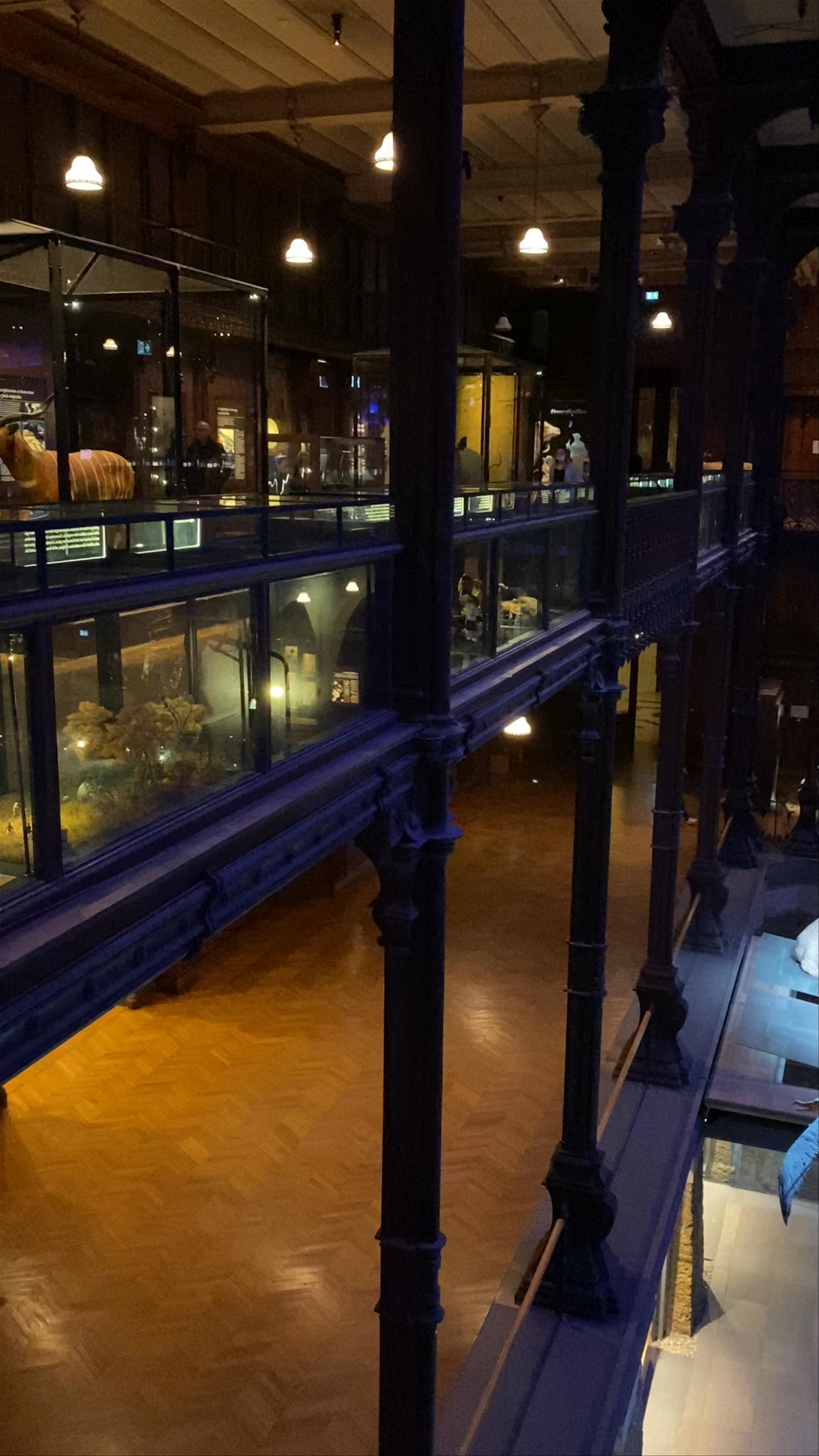 Muséum national d'Histoire naturelle: An Immersive Journey Through Nature's Wonders