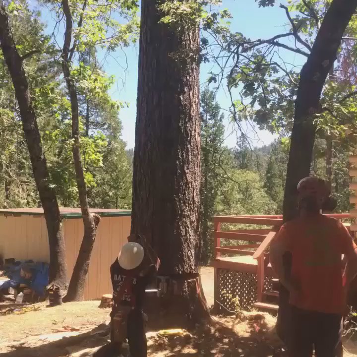Nate's Tree Service - A Crew u can trust - Tree Services Near Me - Sonora, California