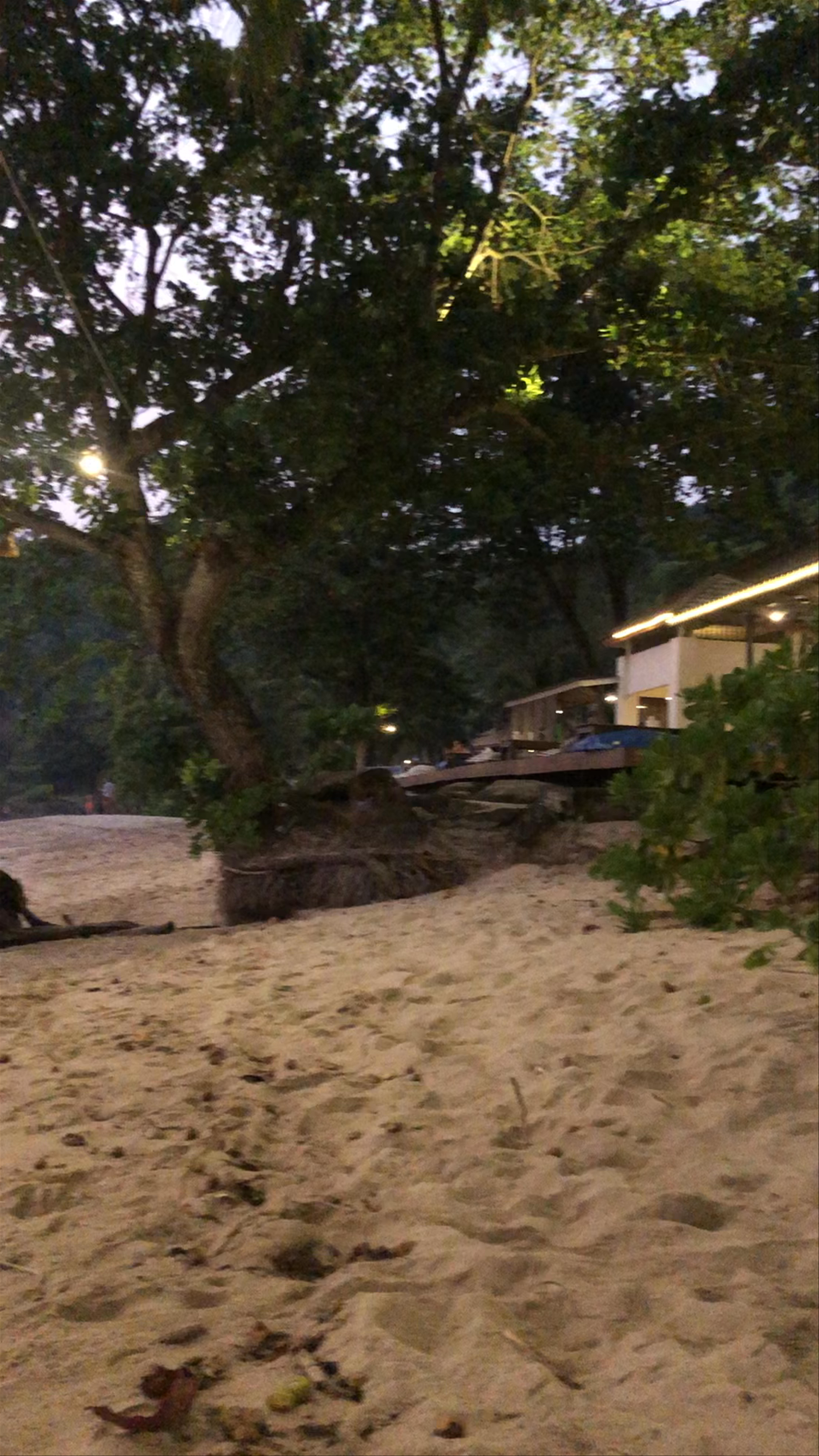Lonely Beach