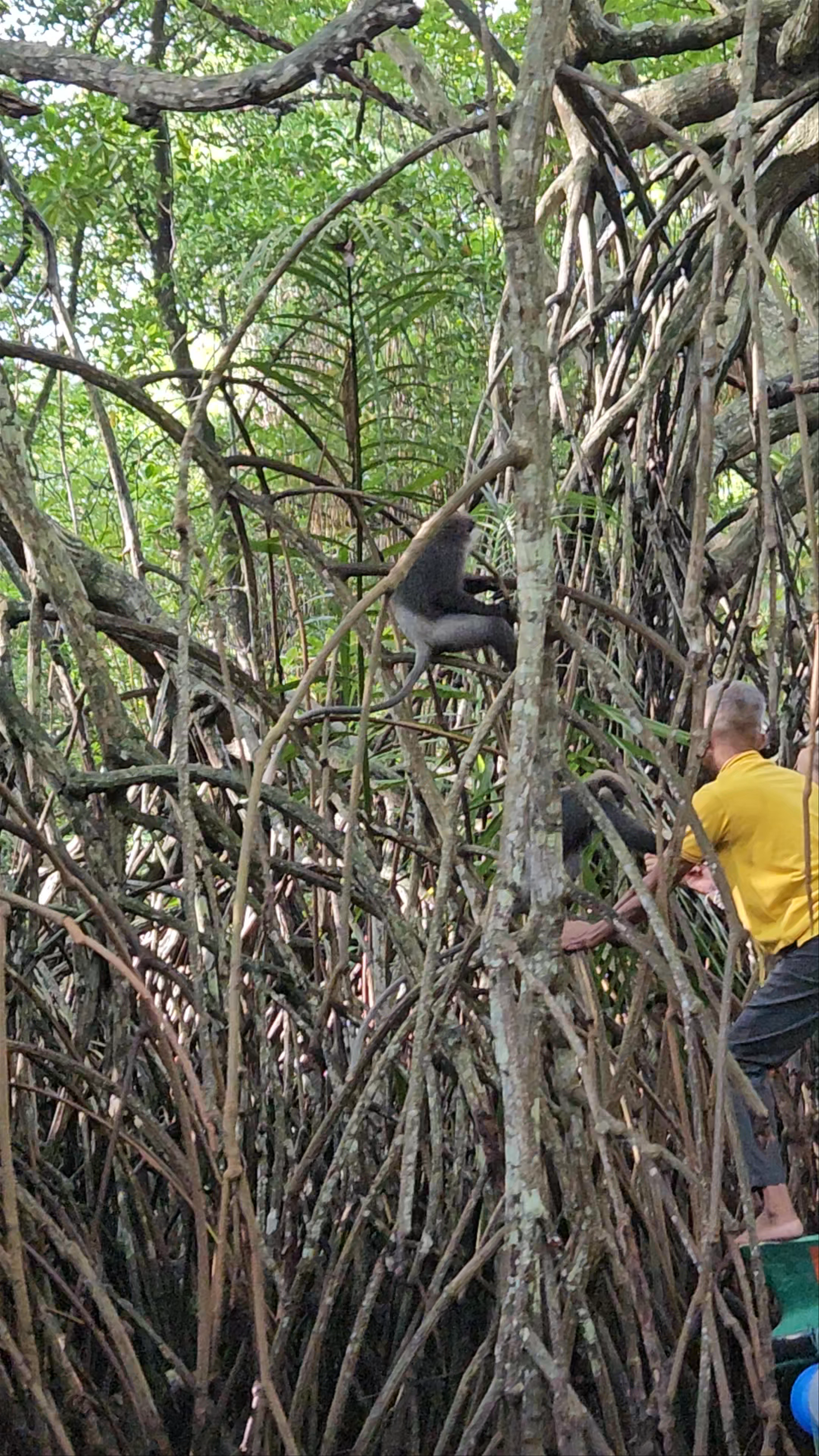 Bentota River Safari & Deep Sea Fishing by VTS Lanka