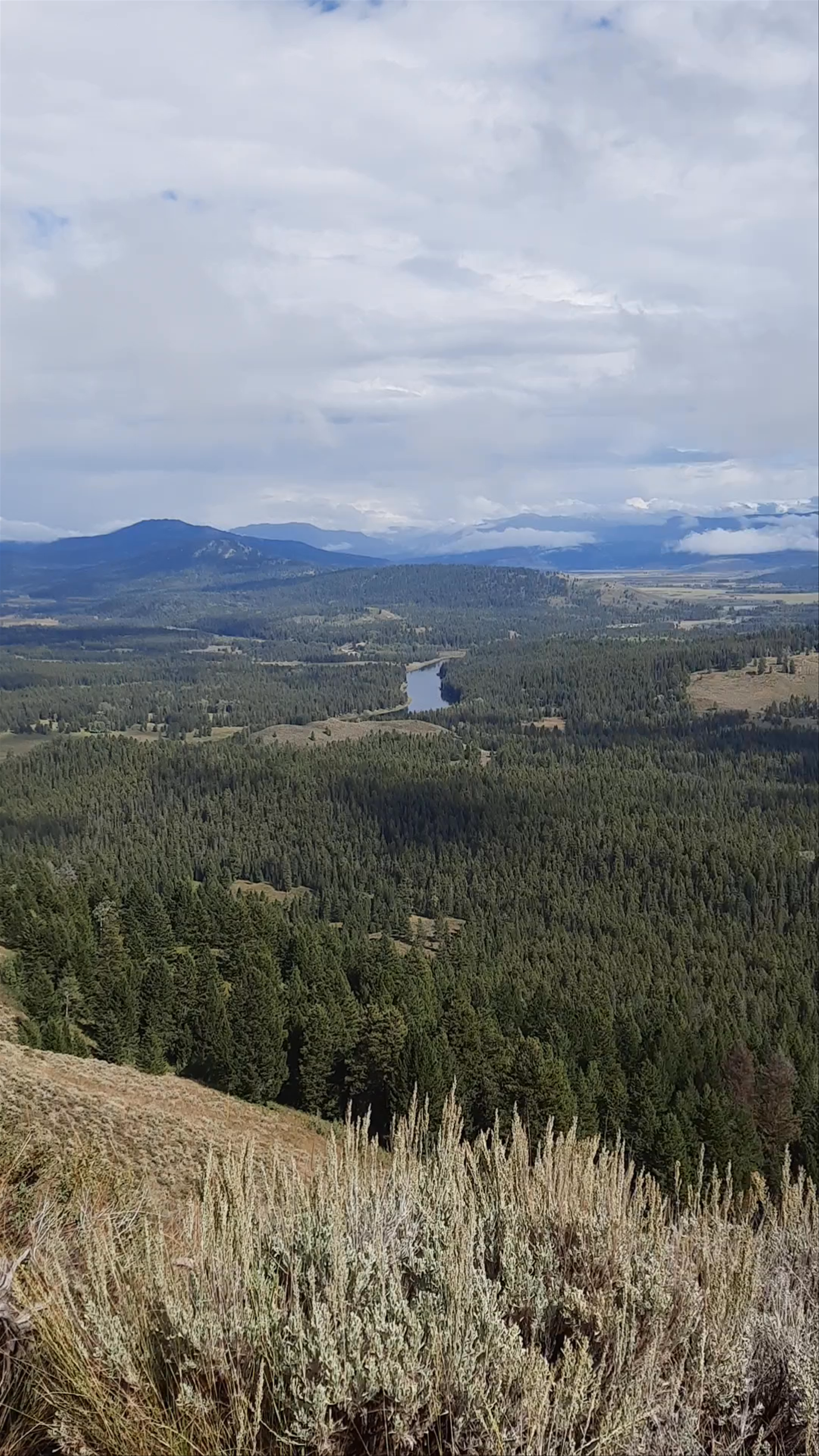 Signal Mountain Summit Road