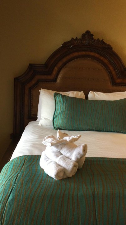 Pacific Terrace Hotel - Gorgeous Hotel.. - San Diego, CA