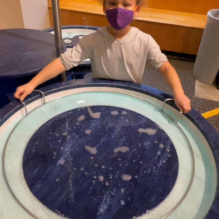 WONDERLAB MUSEUM OF SCIENCE HEALTH & TECHNOLOGY - Updated May 2026 ...