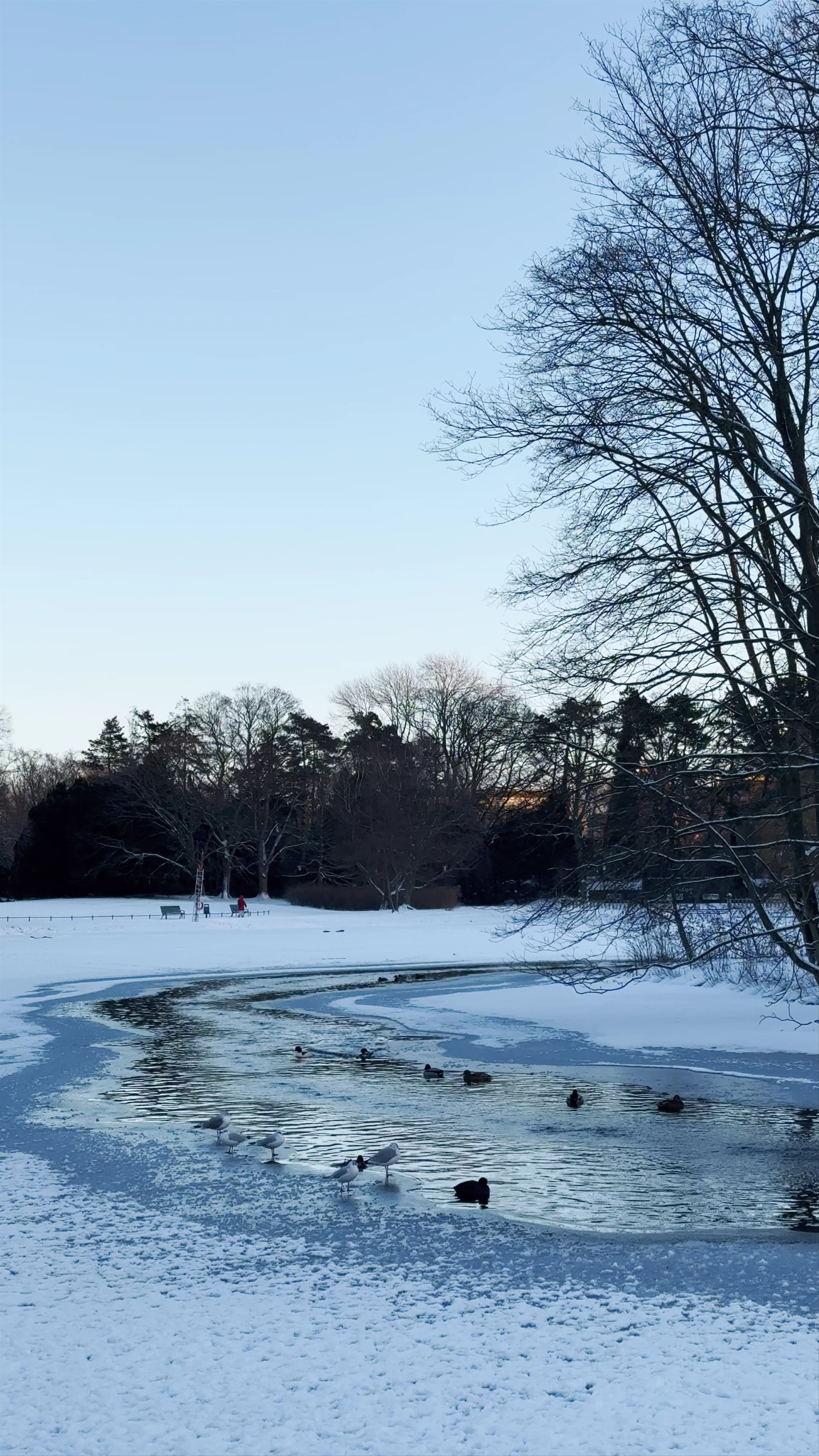 Slottsträdgården