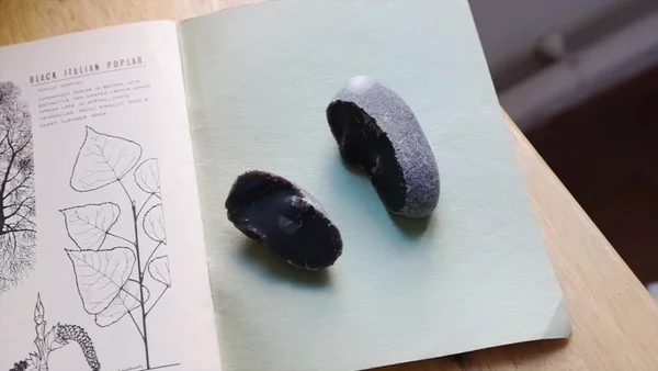 Personal Project - © Artlist