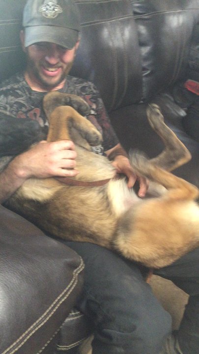 Voraussehen Kennels - Pet Training Near Me - Conroe, Texas