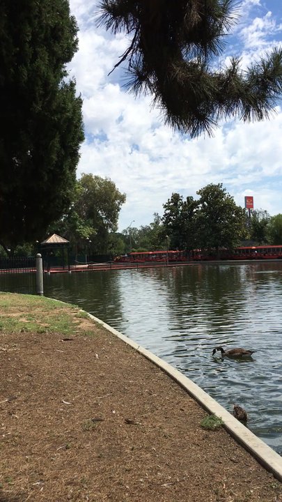 Roeding Park - Slow mini train going by - Parks Near Me - Fresno, California