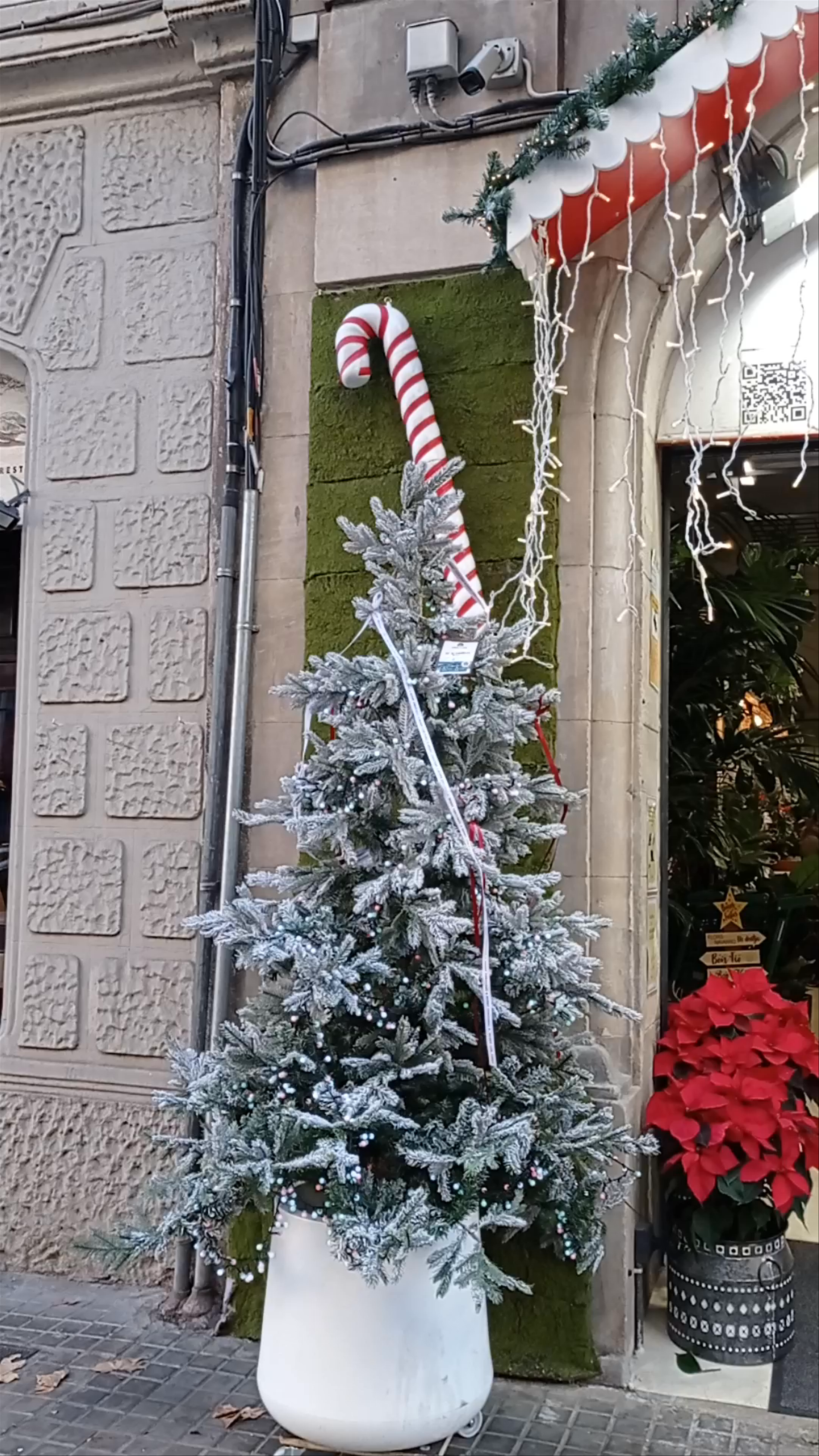 Festive Christmas Decorations at Floristerías Navarro, Barcelona
