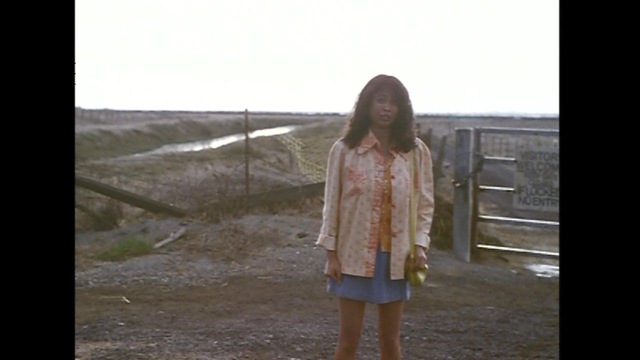 A man walks toward a woman standing on a dirt road near an open field and a pickup truck. They engage in a quiet, deliberate interaction against an expansive, desolate landscape.