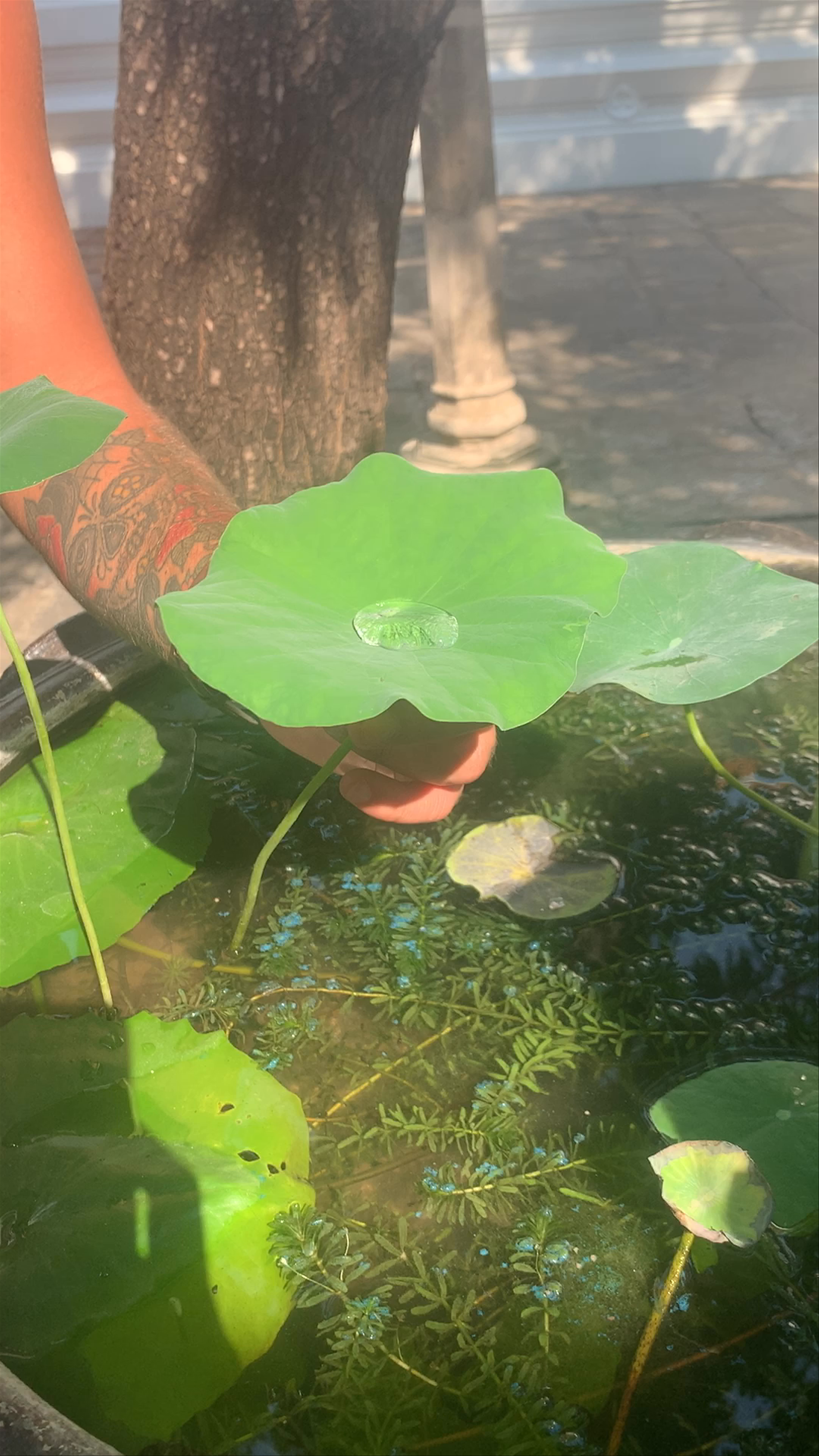 Wat Phra Chetuphon (Wat Pho - Temple of the Reclining Buddha)