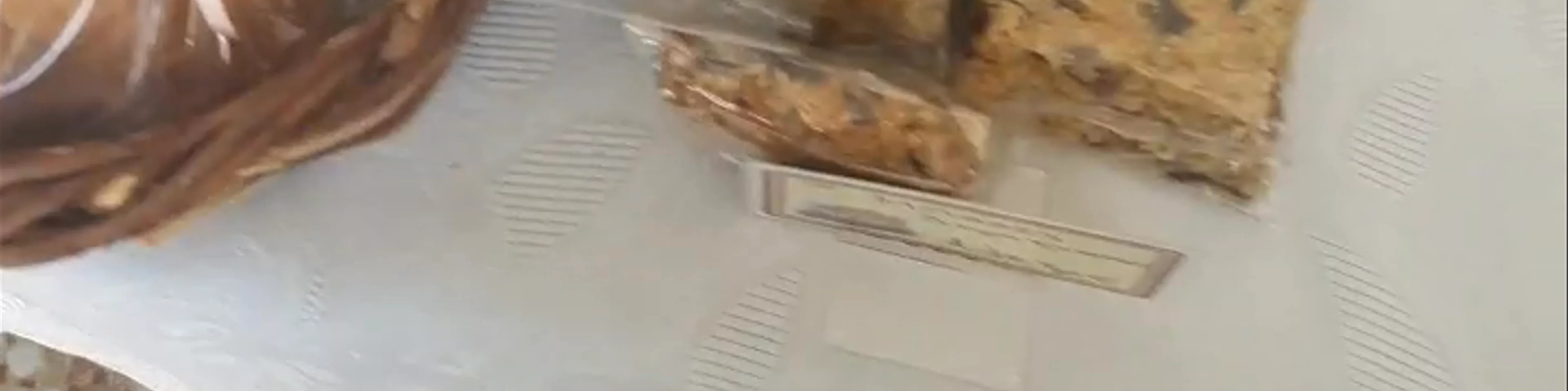 Zagoraíos
