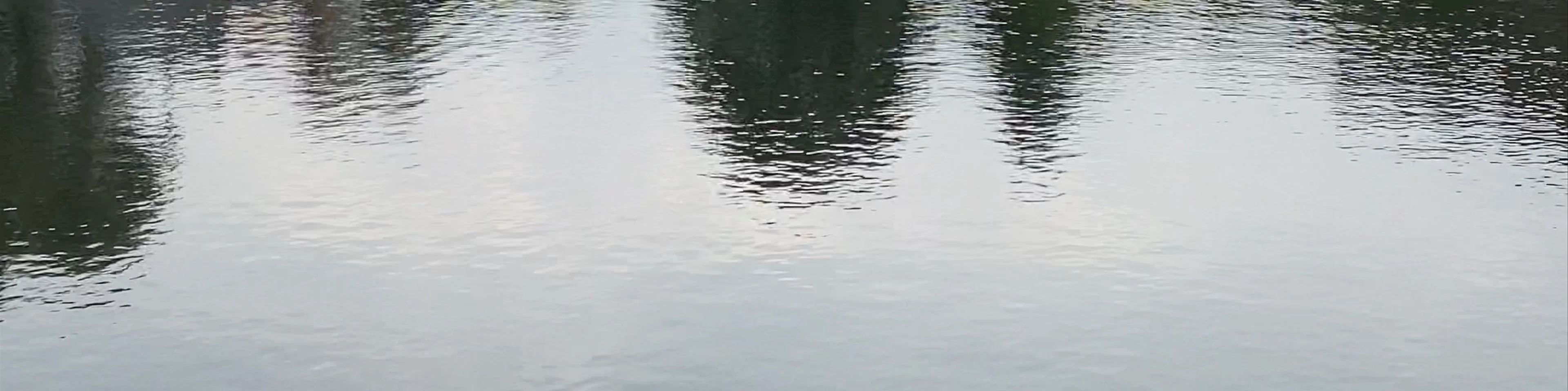 Schwanenteich