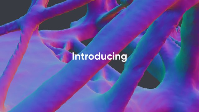 Video Placeholder
