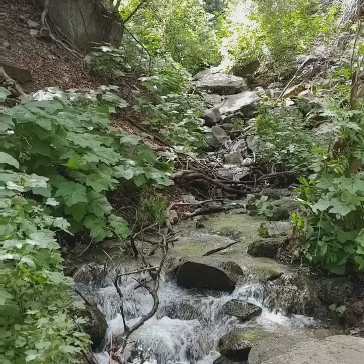 Video thumbnail 2 more videos