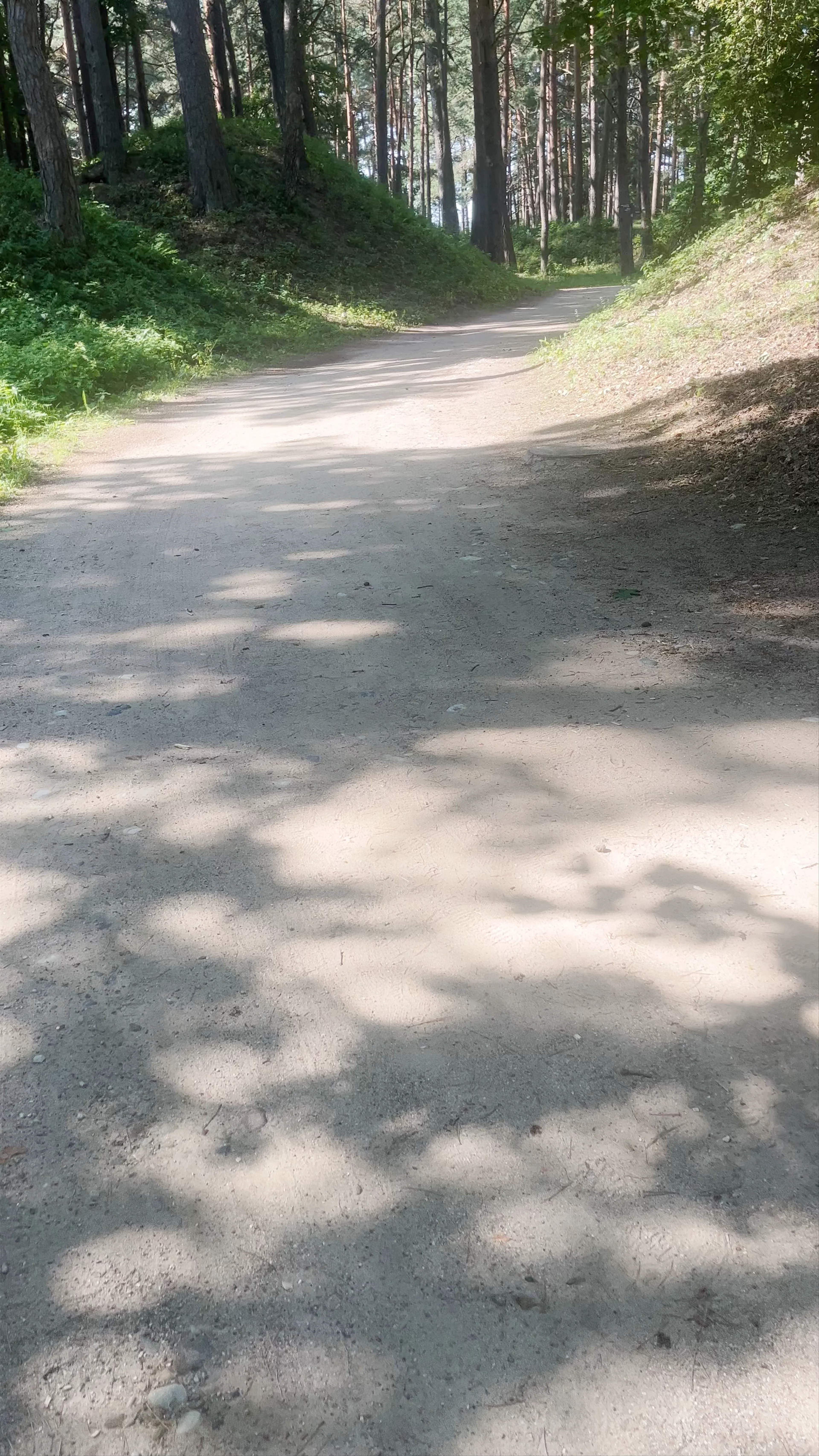 Juglas Woods, Vidzeme Suburb, Riga