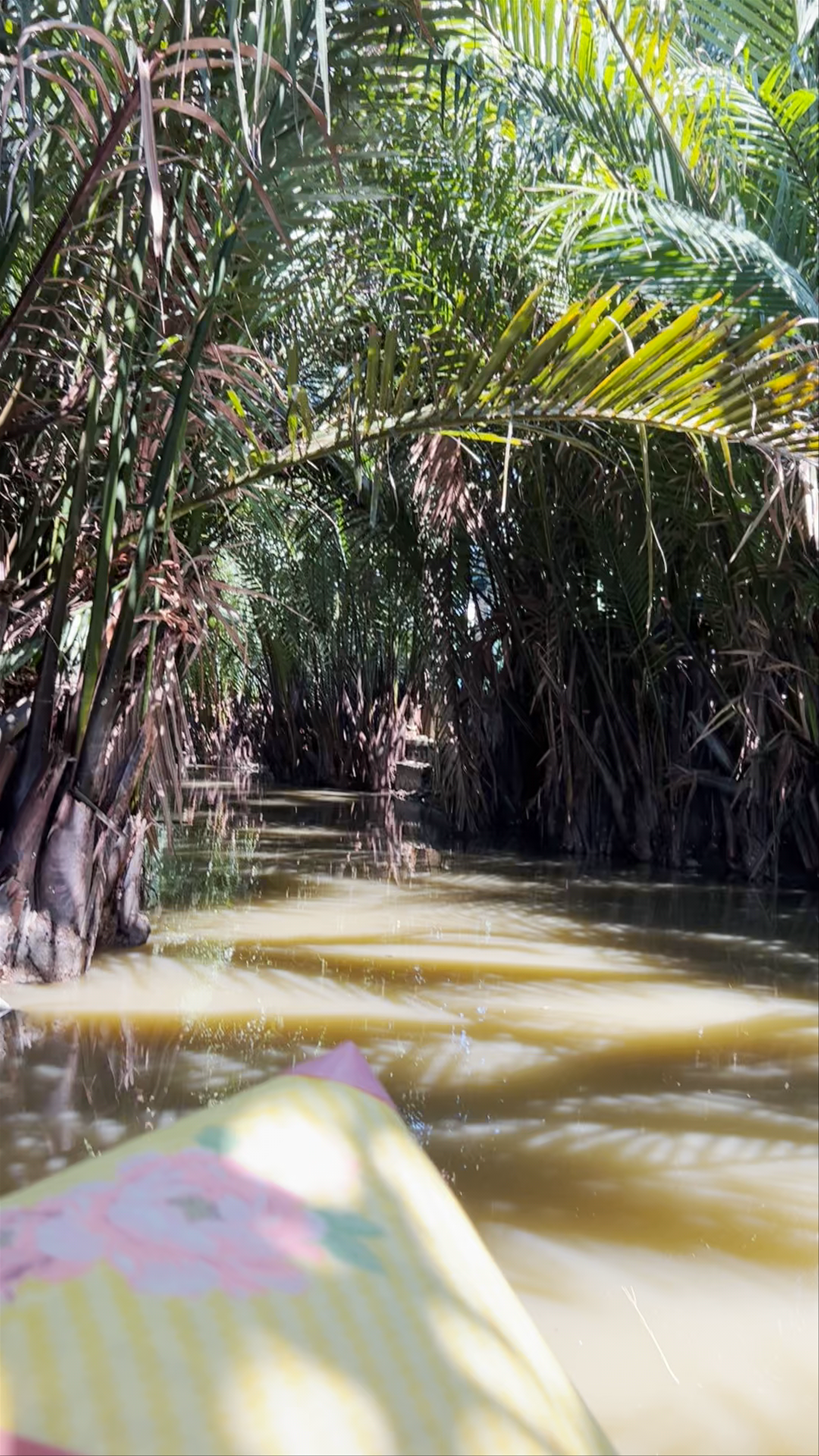 Coconut Boat Rowing Through the Lush Canals of Cẩm Thanh, Hội An