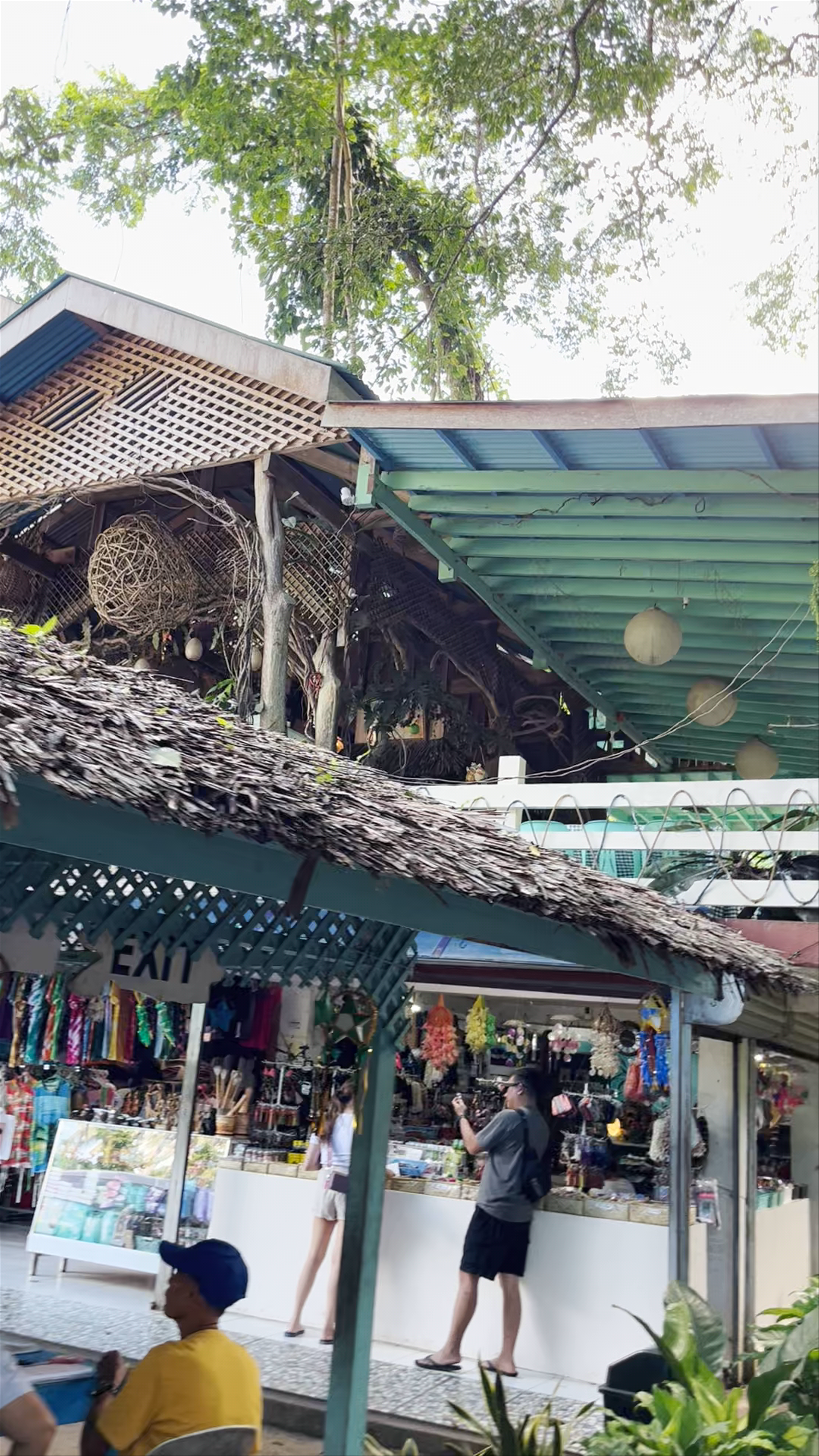 Mystical Visit to the Old Enchanted Balete Tree in Siquijor, Philippines