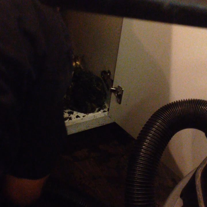 Met Lofts - That is sewage in our kitchen caused when an unqualified unlicensed plumber worker was sent to fix plumbing issue. - Apartments Near Me - Los Angeles, California