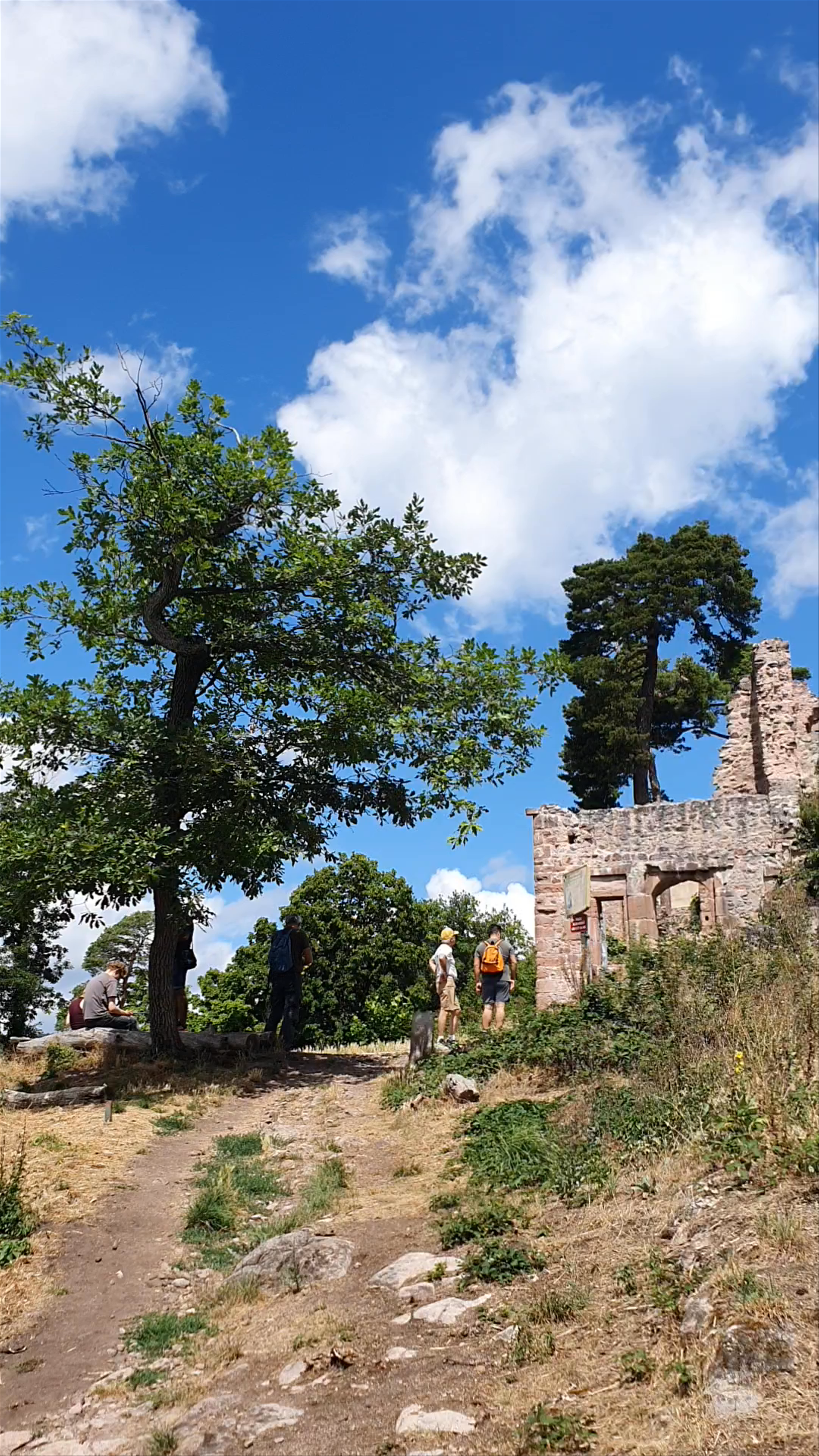 Château du Haut-Ribeaupierre