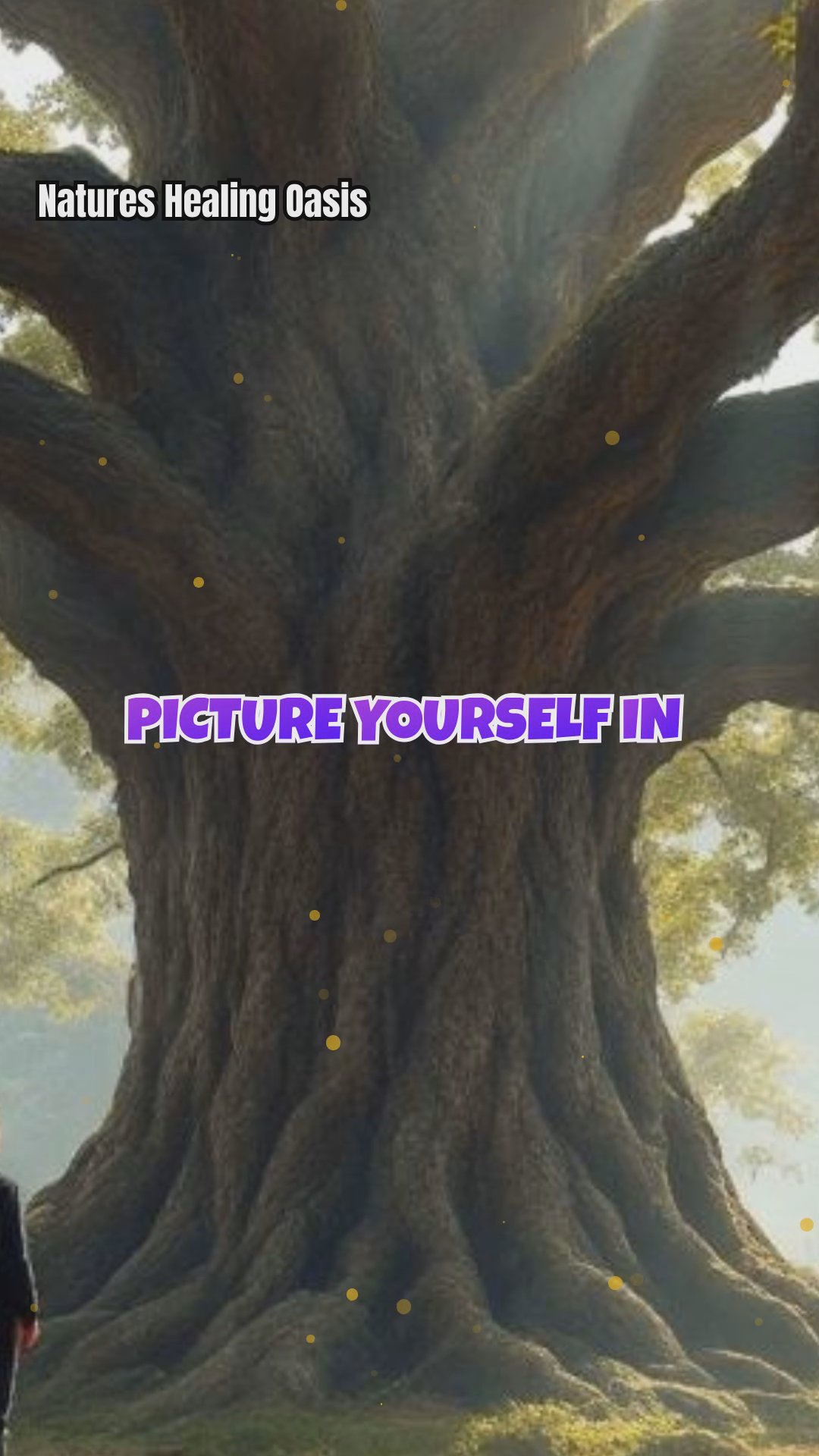 How Tree Age Shapes Our Energetic Connection