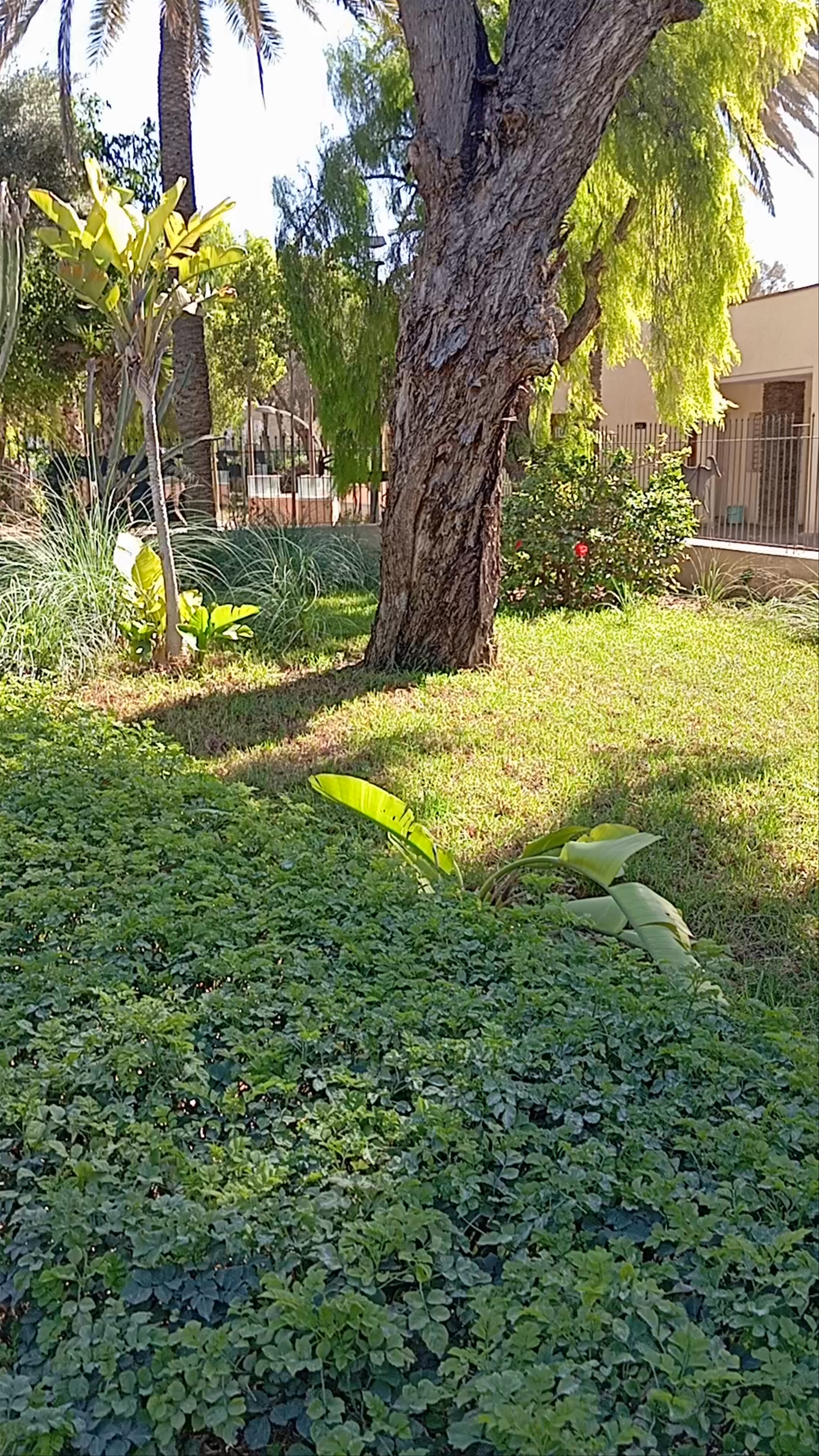 Jardin Olhao Agadir: A Serene Green Oasis in Morocco