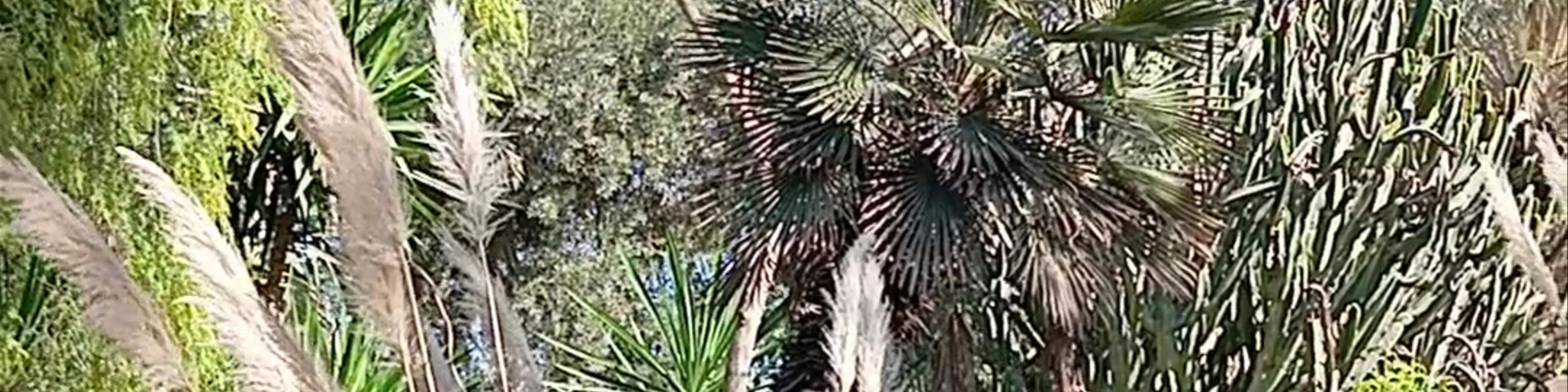 Jardin Olhao Agadir