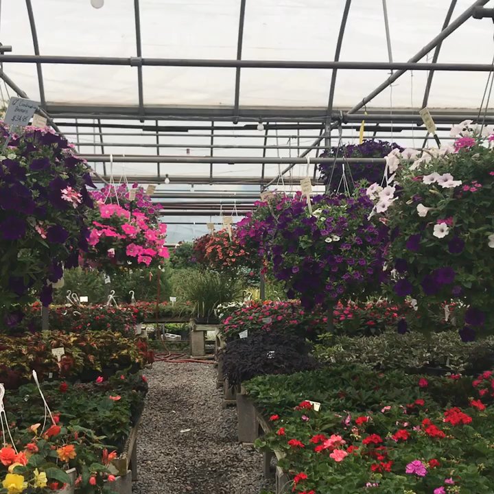 Fehr Walter Landscpg - Nurseries & Gardening Near Me - Burtonsville, Maryland