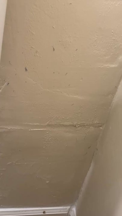 Sunnyvale Handyman - Video of the fixes to their repair job. They laid vinyl they chose over the improperly installed tile. - Handyman Near Me